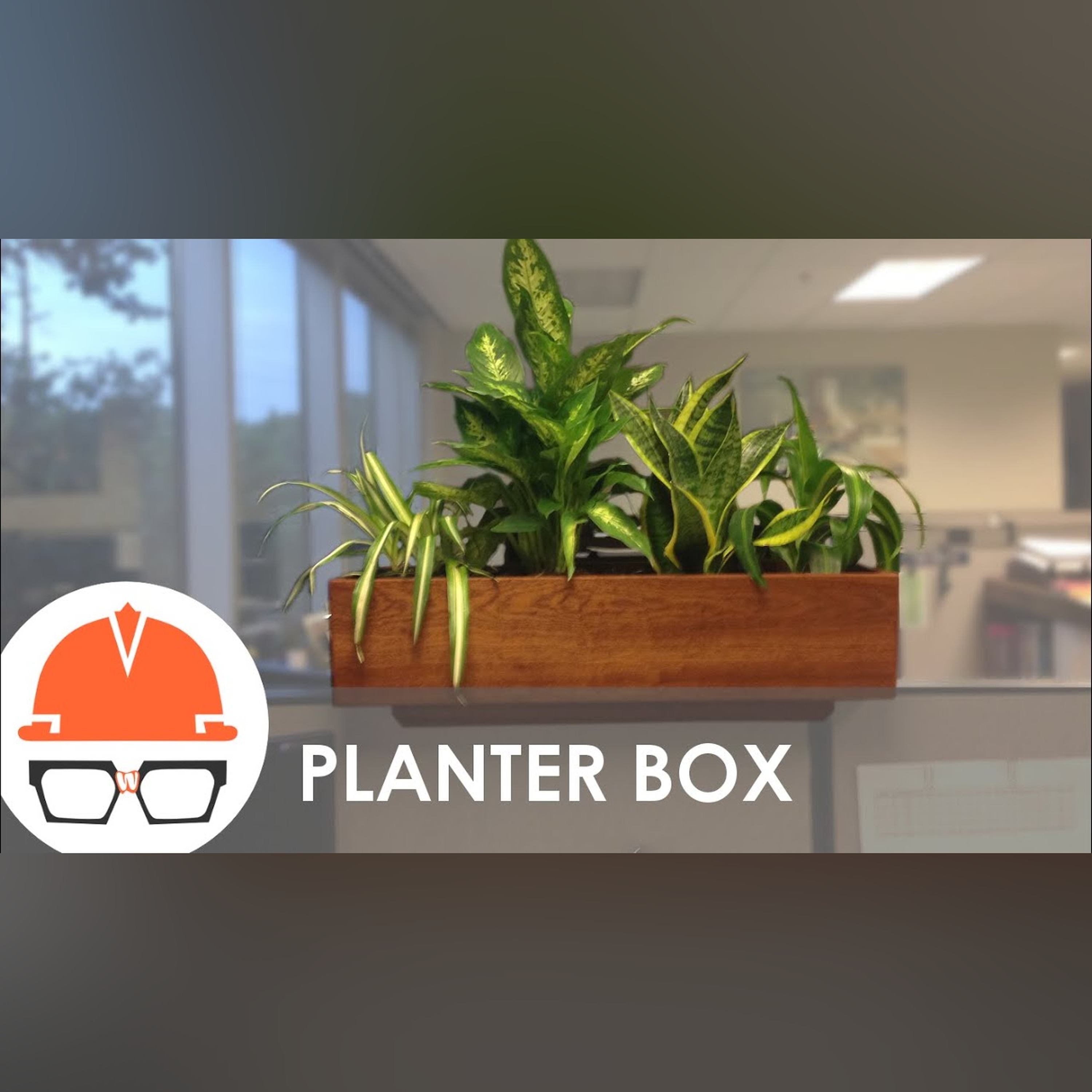 Quick Build: Cubicle Wall Planter episode artwork