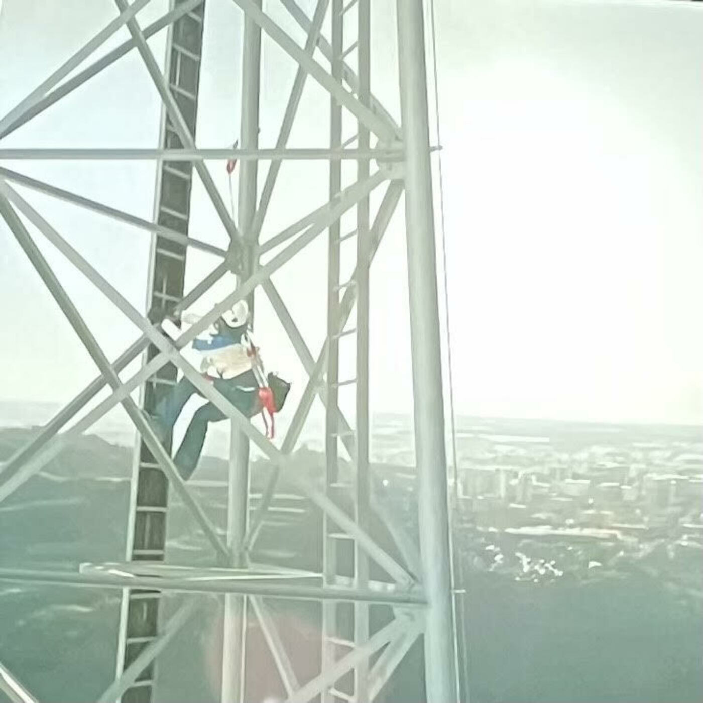 #367 - Just Use The Ladder episode artwork
