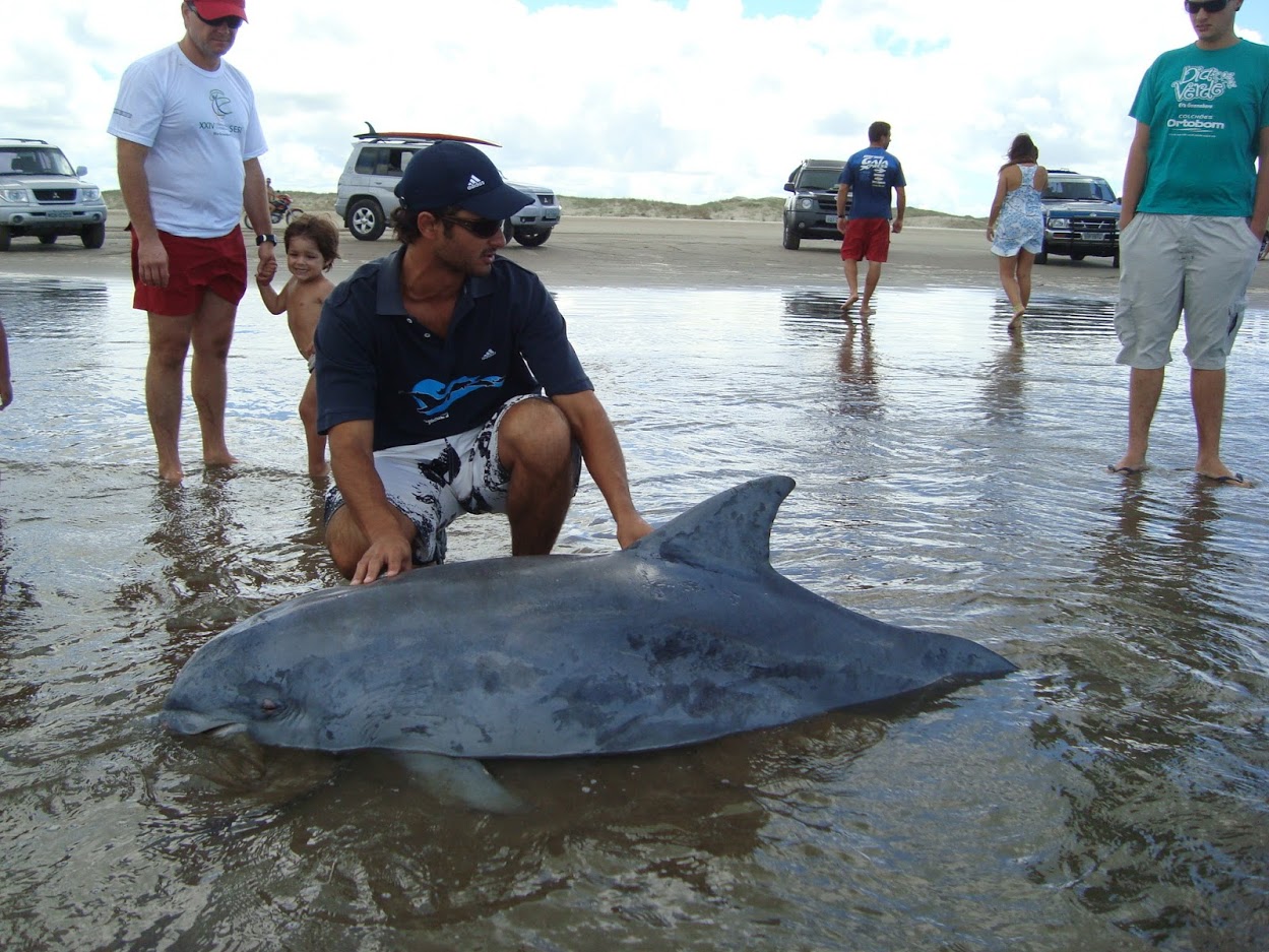 Episode 234: Whitley Award Winner Pedro Fruet on conserving Lahille's Bottlenose Dolphins
