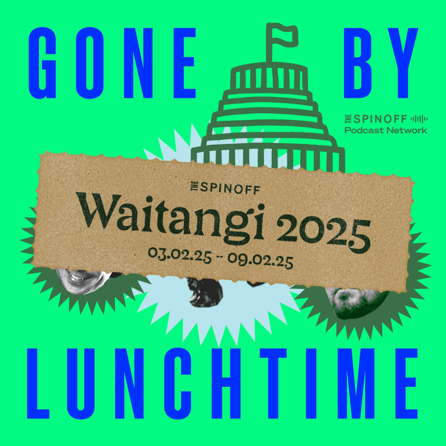 Bonus episode: The Waitangi special