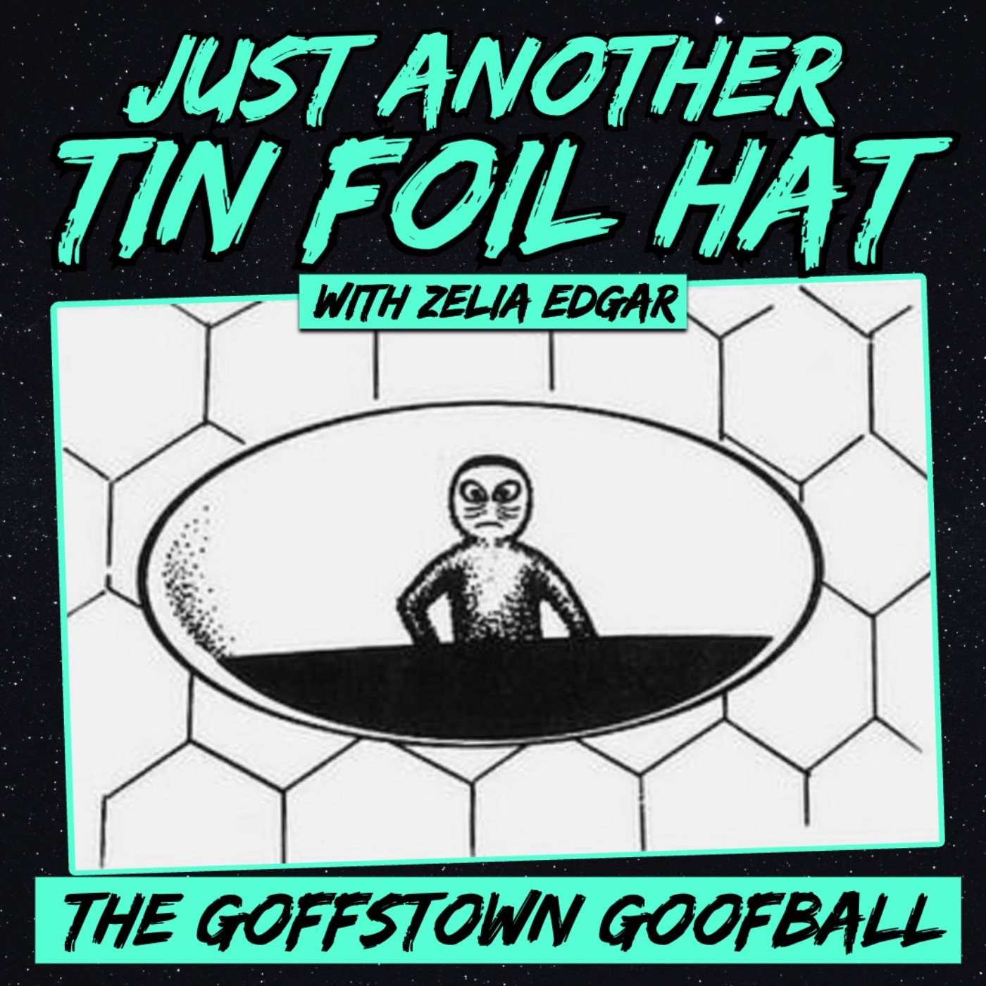 Just Another Tin Foil Hat | The Goffstown Goofball