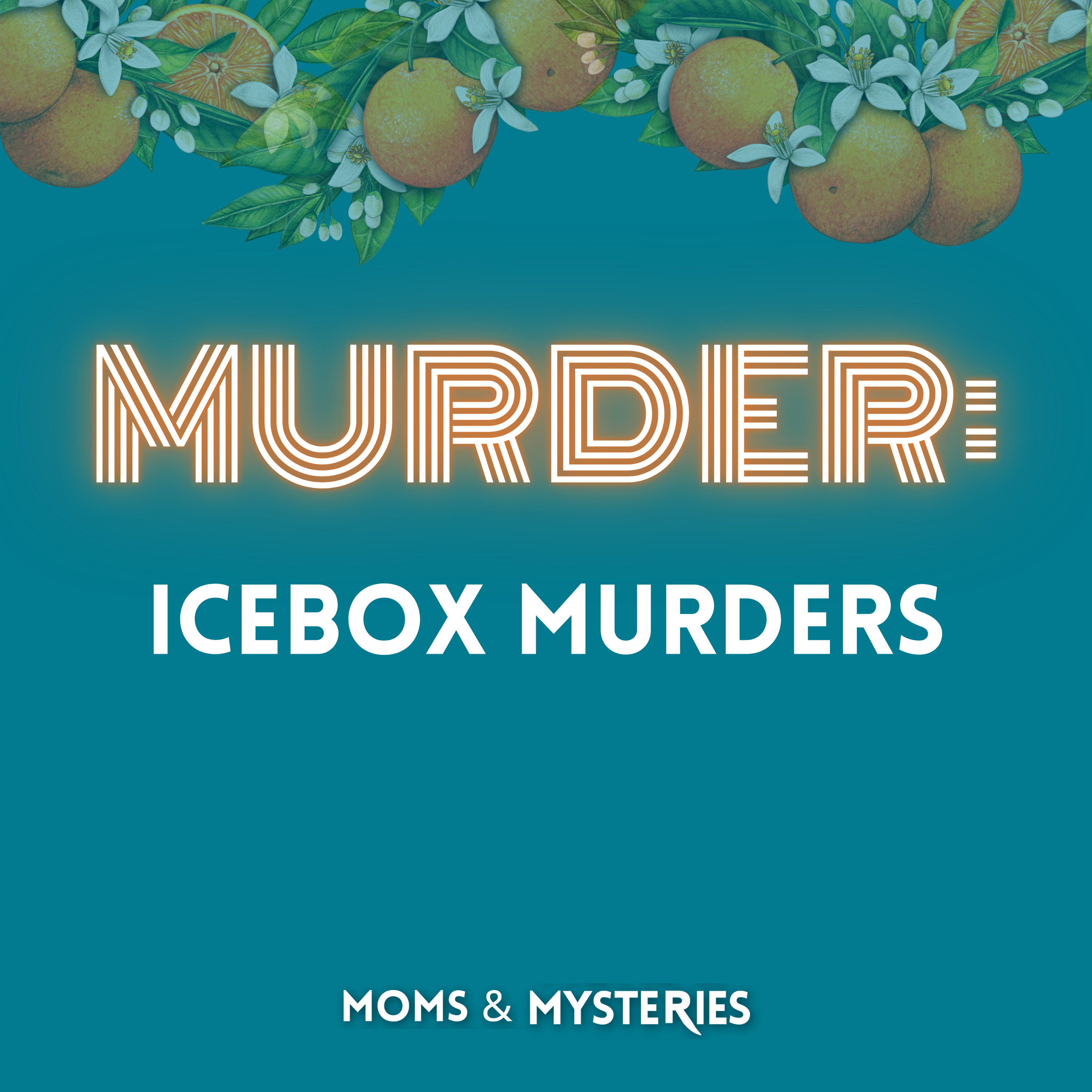 The Icebox Murders: Houston's Horror Story