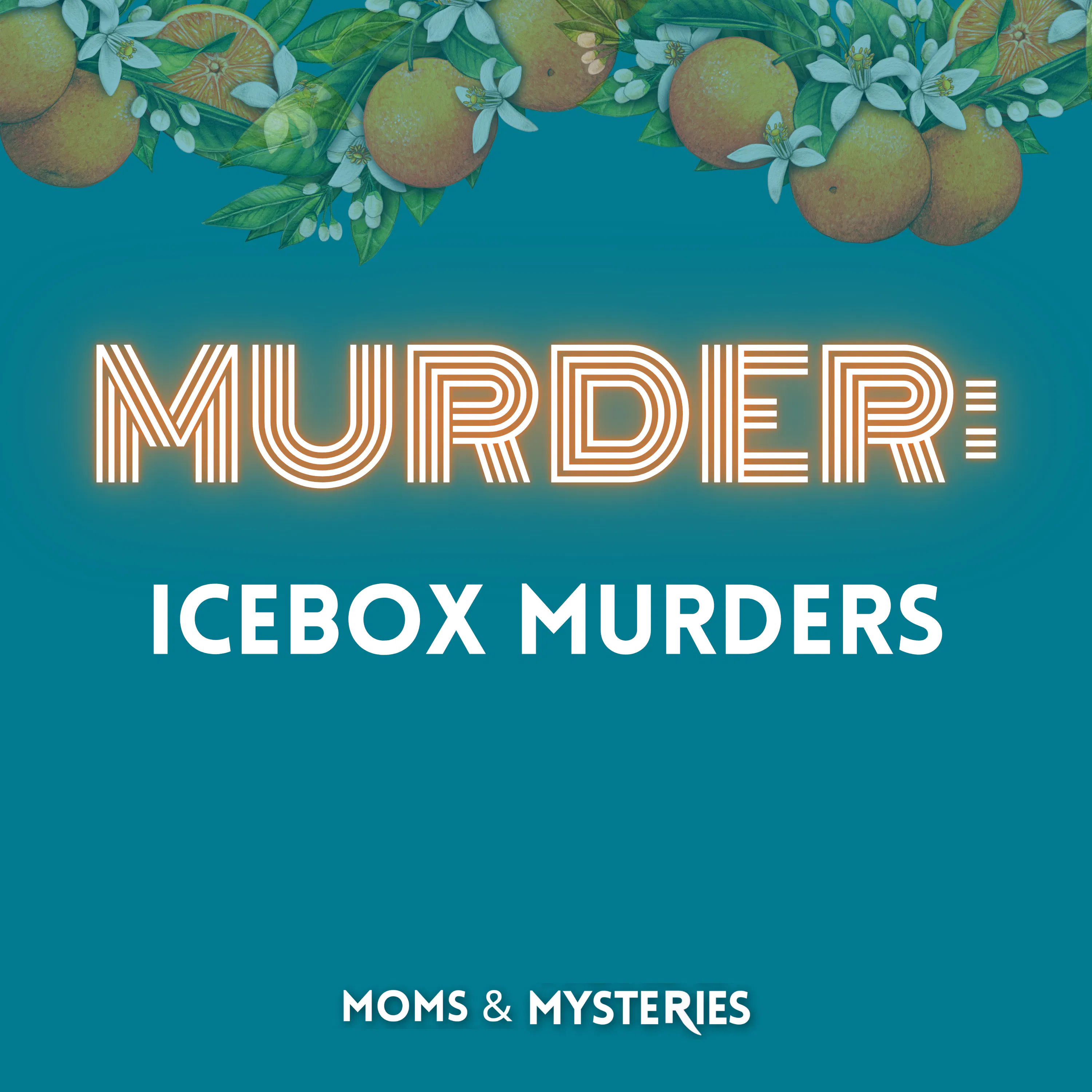 The Icebox Murders: Houston's Horror Story