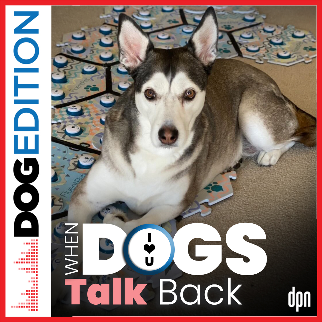 When Dogs Talk Back | Dog Edition #48