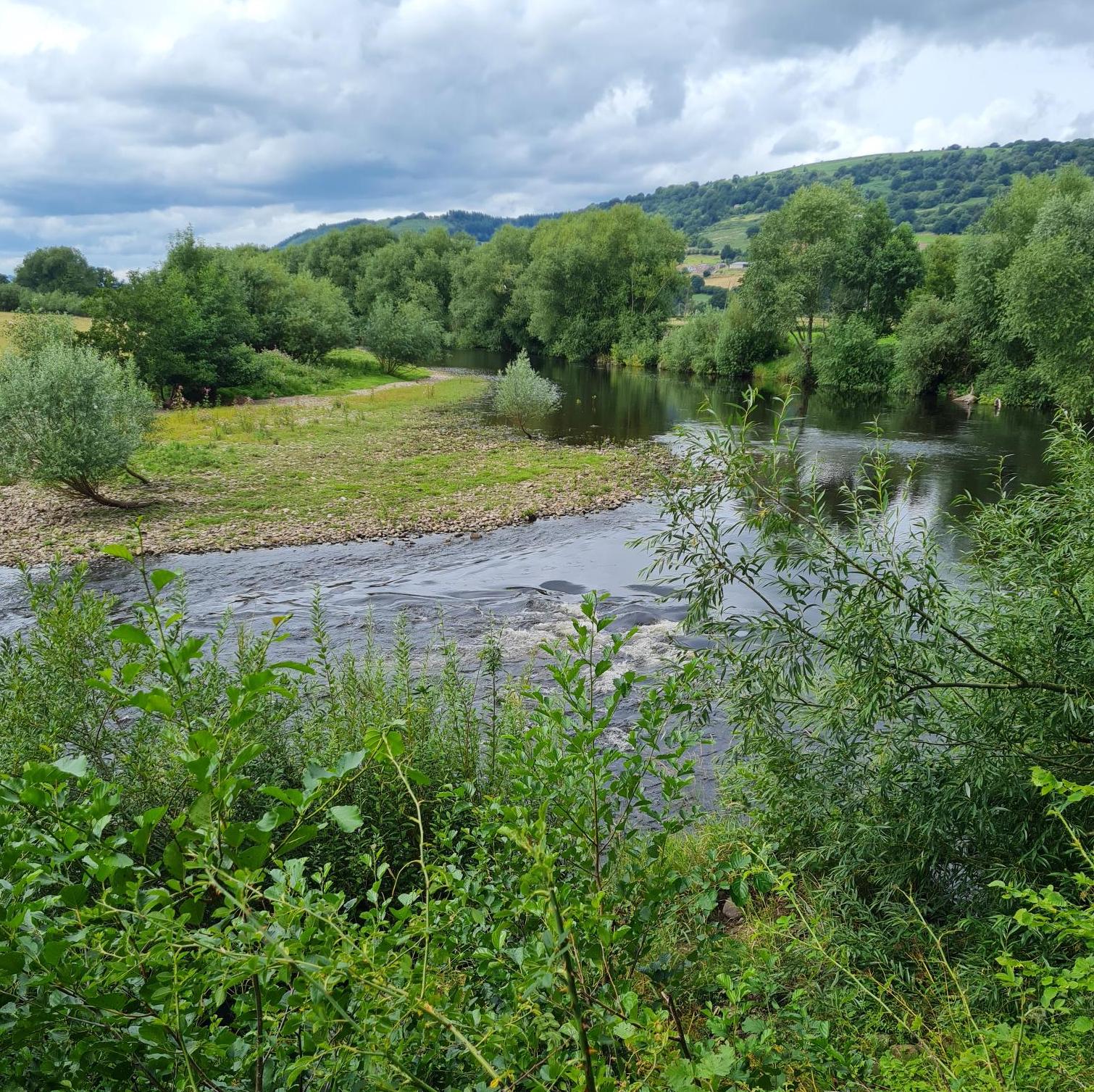 Sound Escape 132: A cool woodland walk beside a racing river