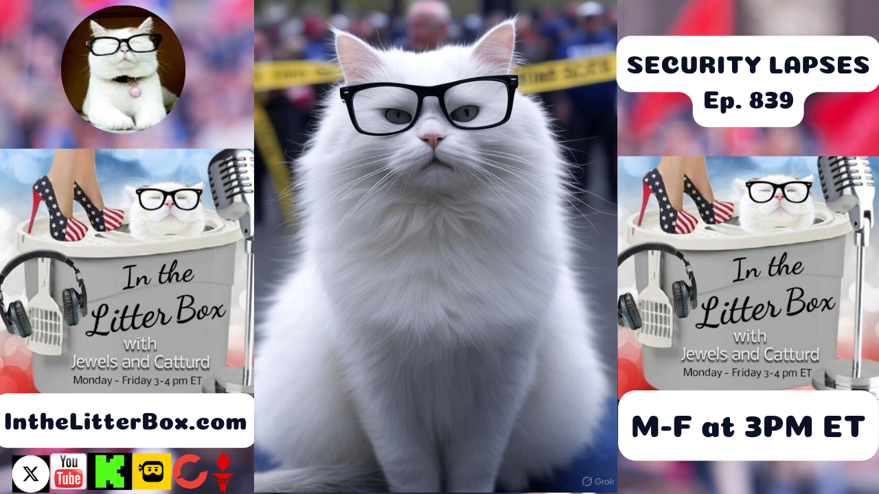 SECURITY LAPSES | In the Litter Box w/ Jewels & Catturd – Ep. 839 – 7/11/2025