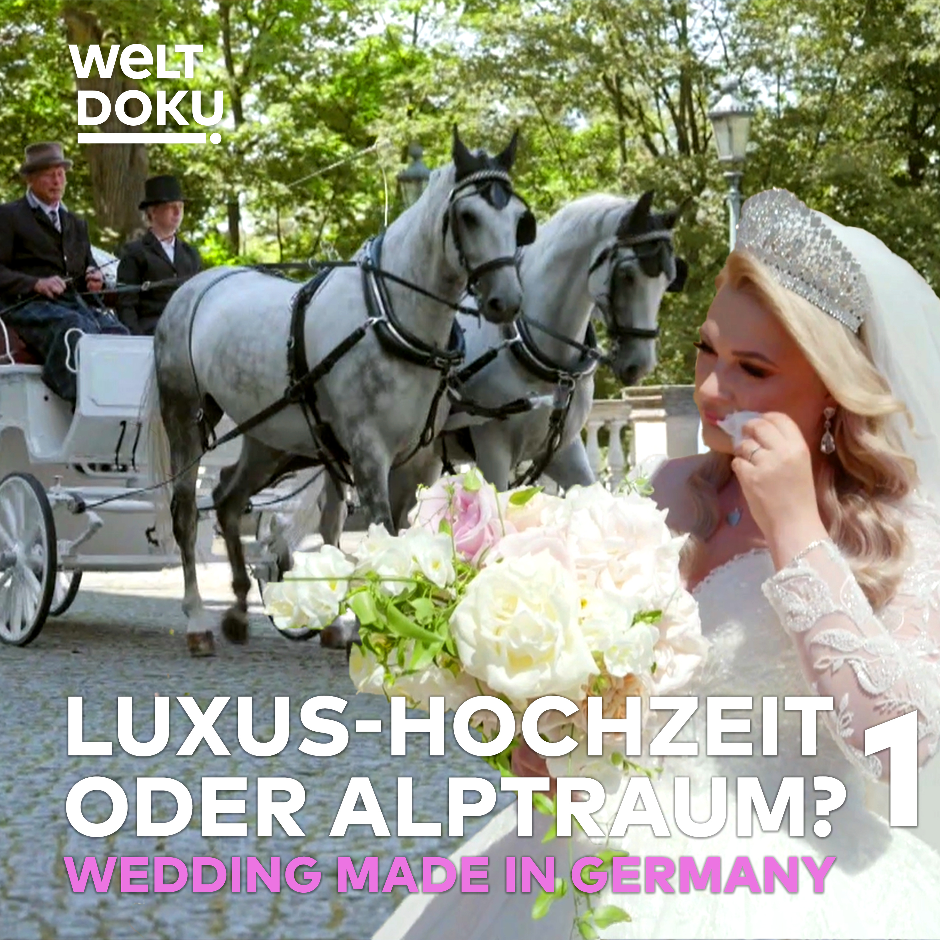 DIE HOCHZEITSPLANER 1  — Schloss Albrechtsberg: Heiraten wie Cinderella | Geschäft mit der Liebe TEIL 1