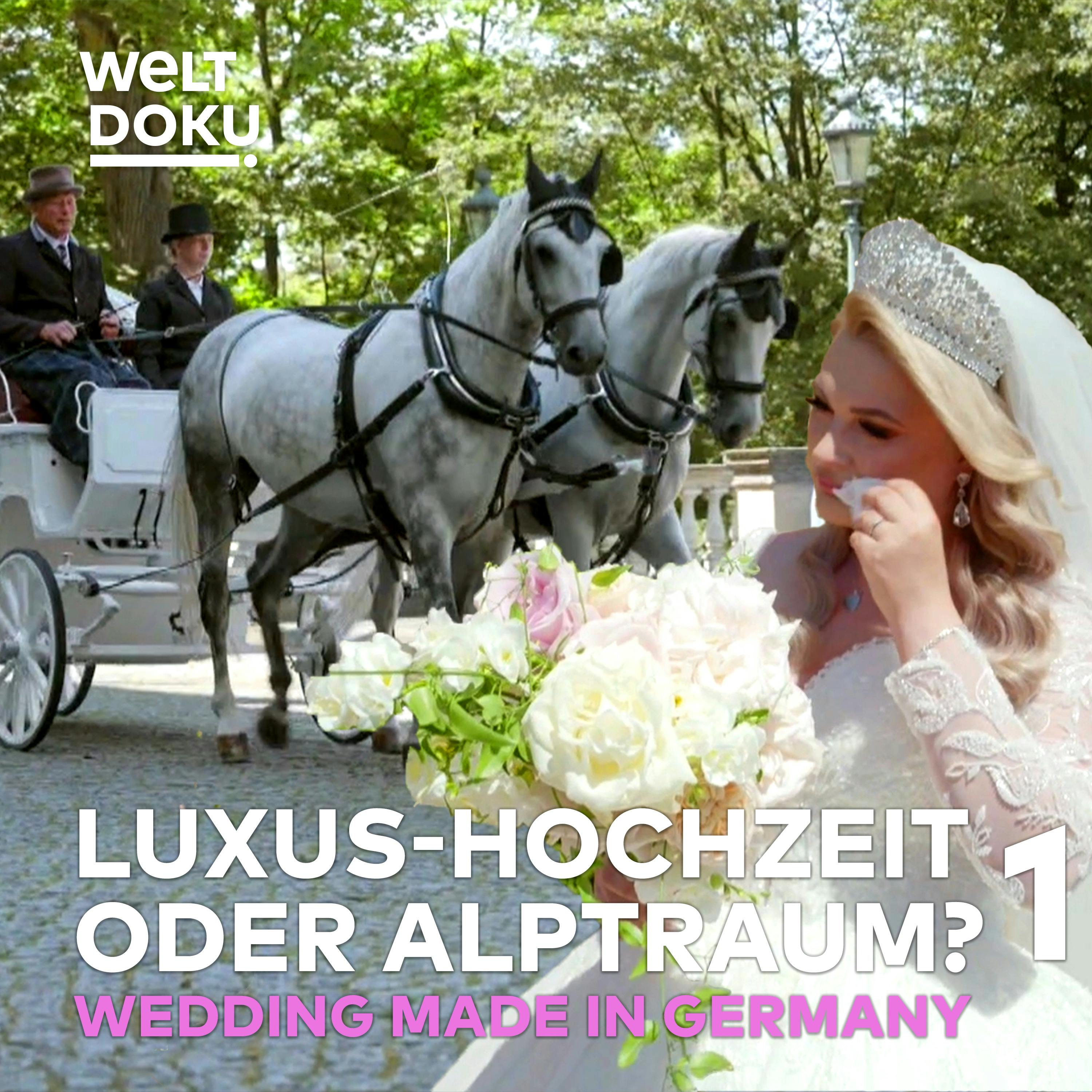 DIE HOCHZEITSPLANER 1 — Schloss Albrechtsberg: Heiraten wie Cinderella | Geschäft mit der Liebe TEIL 1 DIE HOCHZEITSPLANER 1 — Schloss Albrechtsberg: Heiraten wie Cinderella | Geschäft mit der Liebe TEIL 1