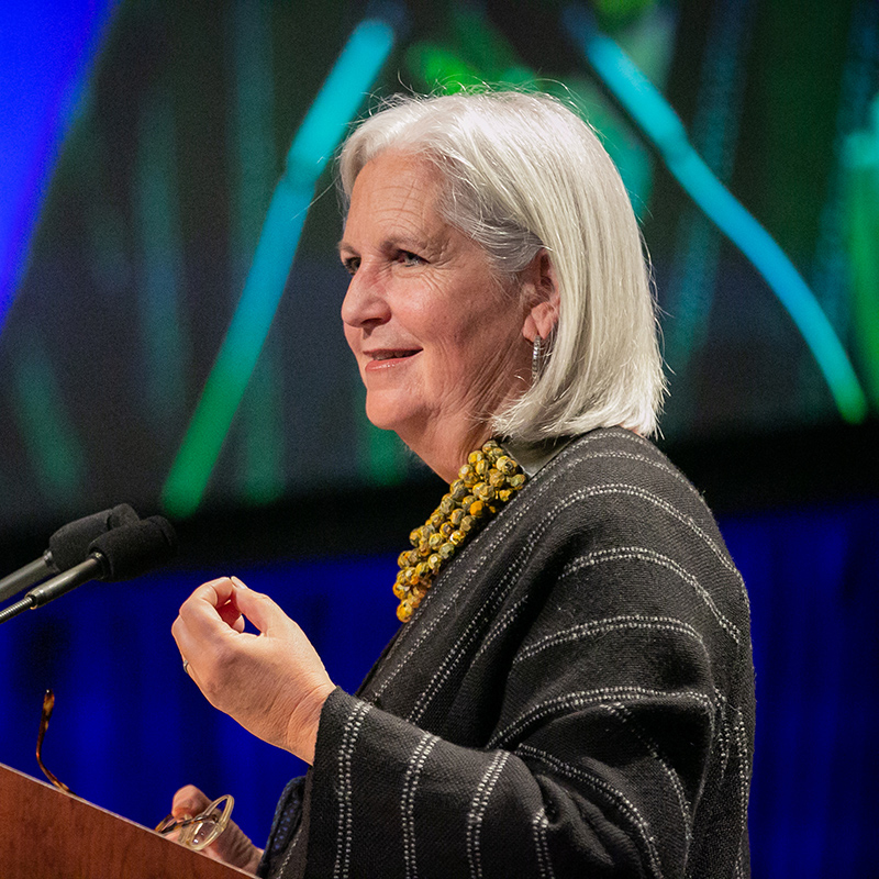 Erosion and Evolution: Our Undoing is Our Becoming | Terry Tempest Williams