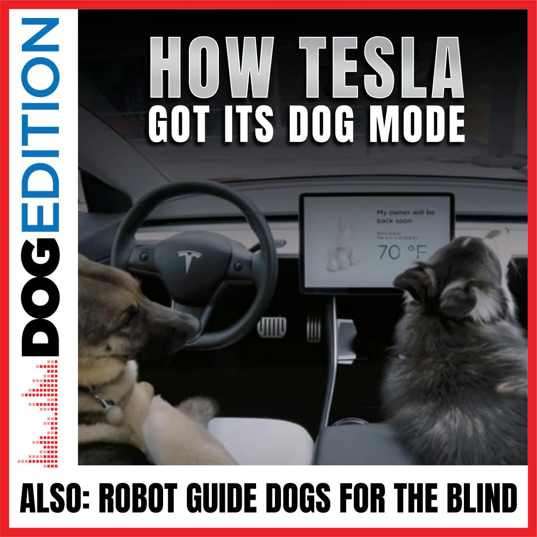 How Tesla Got Its Dog Mode | Robot Guide Dogs For The Blind | Dog Edition #25