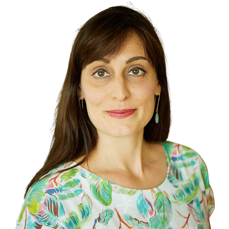 351: Investigating War Crimes and Fighting for Human Rights in Chiapas, Guatemala, Ivory Coast, Sierra Leone, Iraq, Cambodia and Palestine with Etelle Higonnet