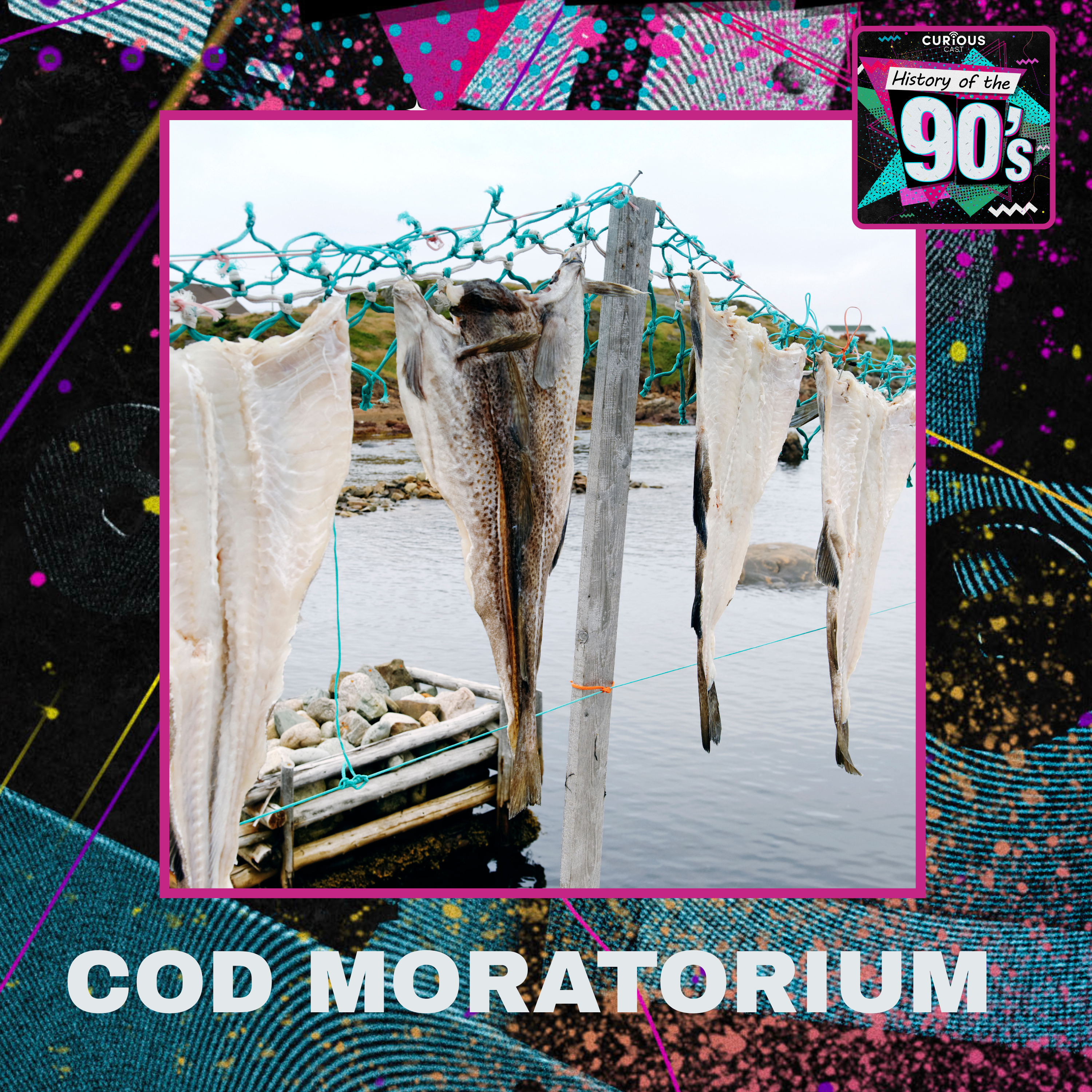 From History of the 90s: Cod Moratorium