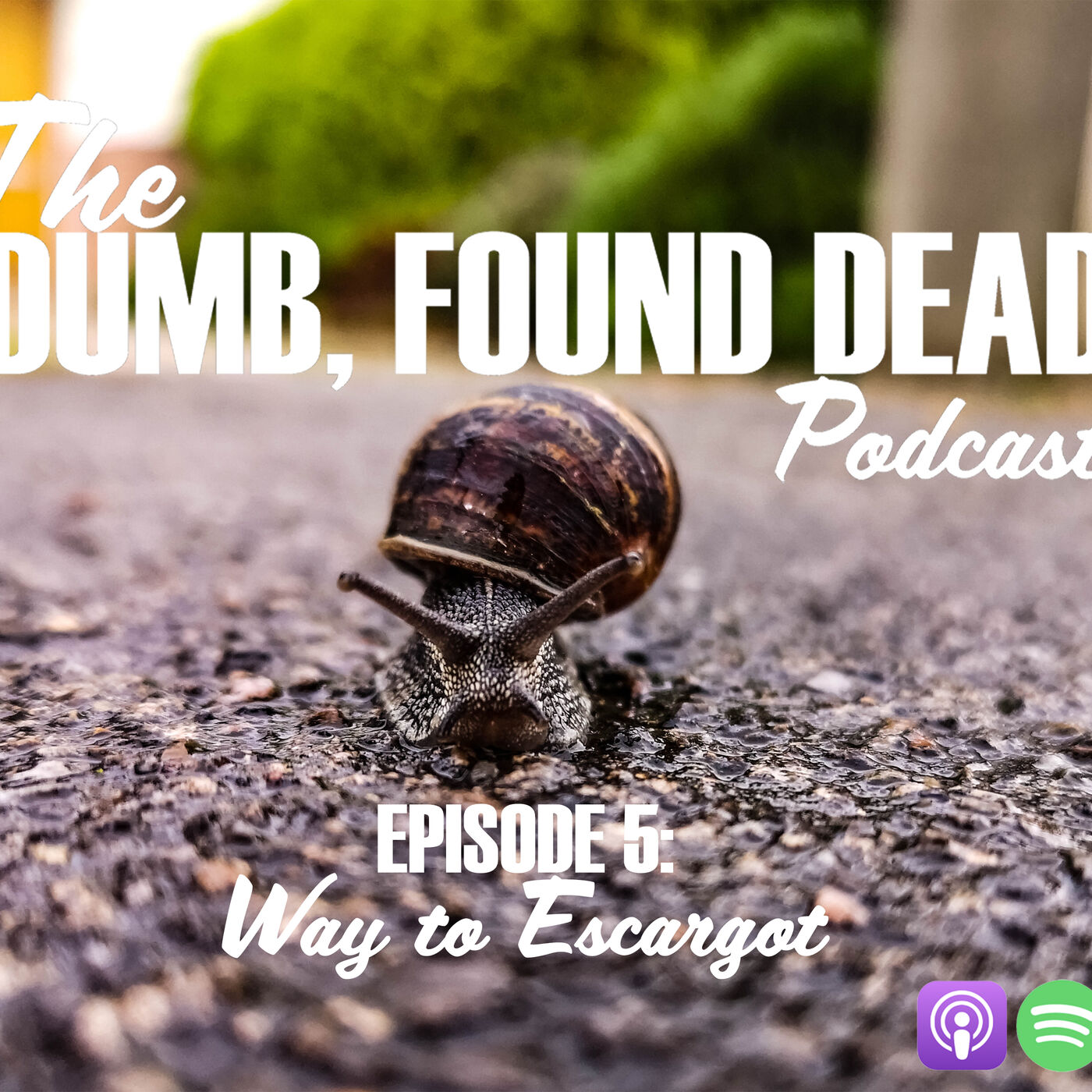 Deaths by Dares: Way to Escargot