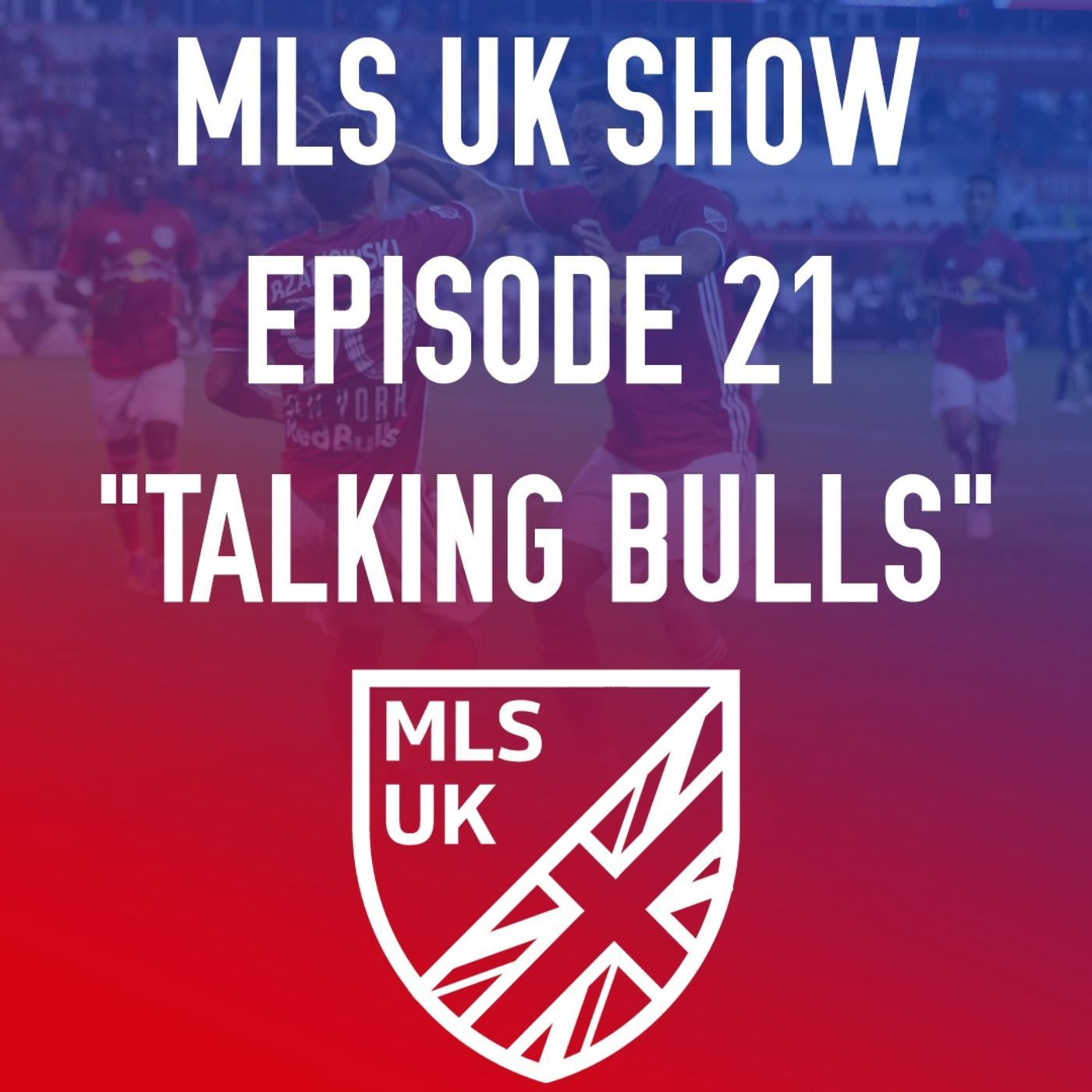 Episode 21: Talking Bulls episode artwork