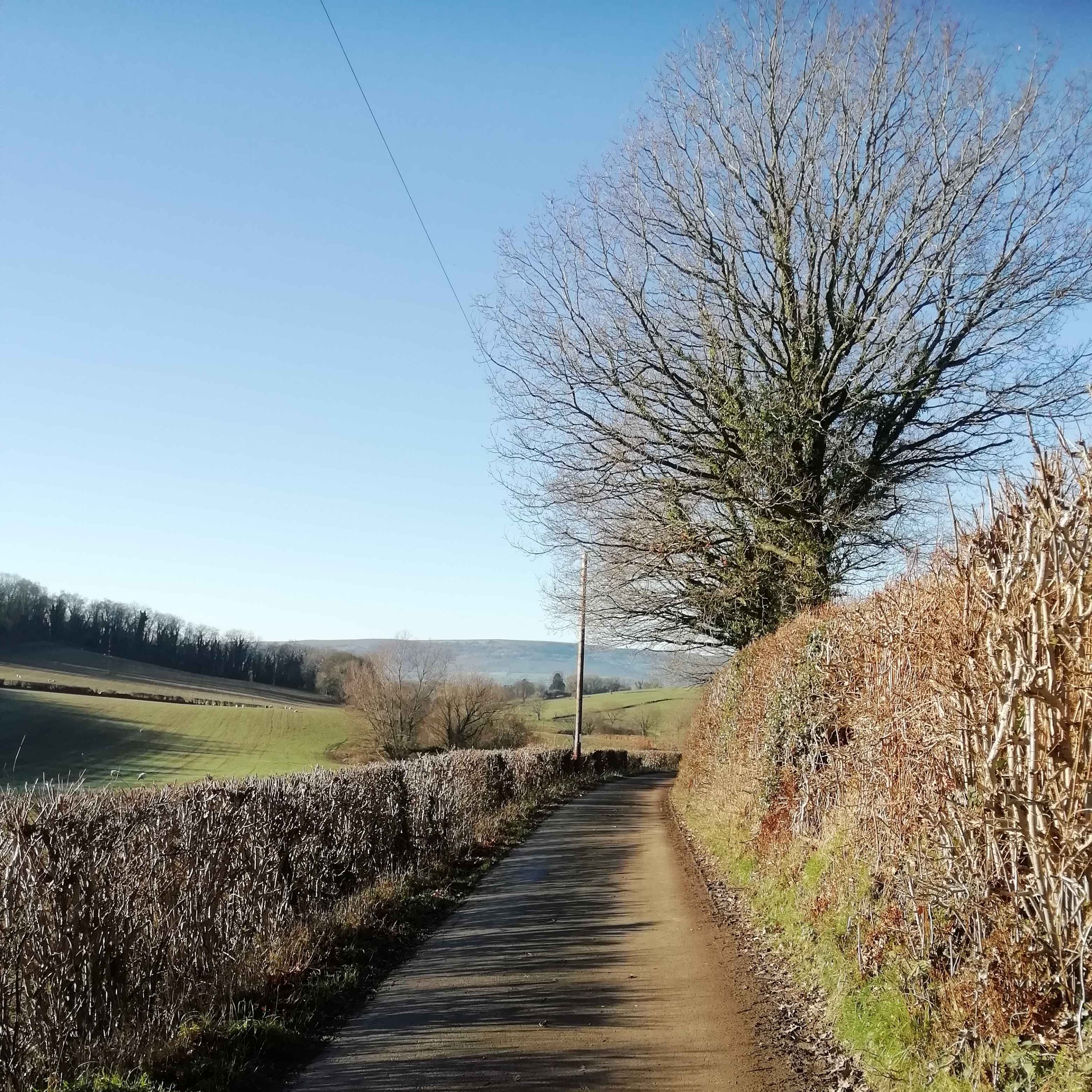135. Getting lost among hillforts and ravens on a winter's walk in Monmouthshire