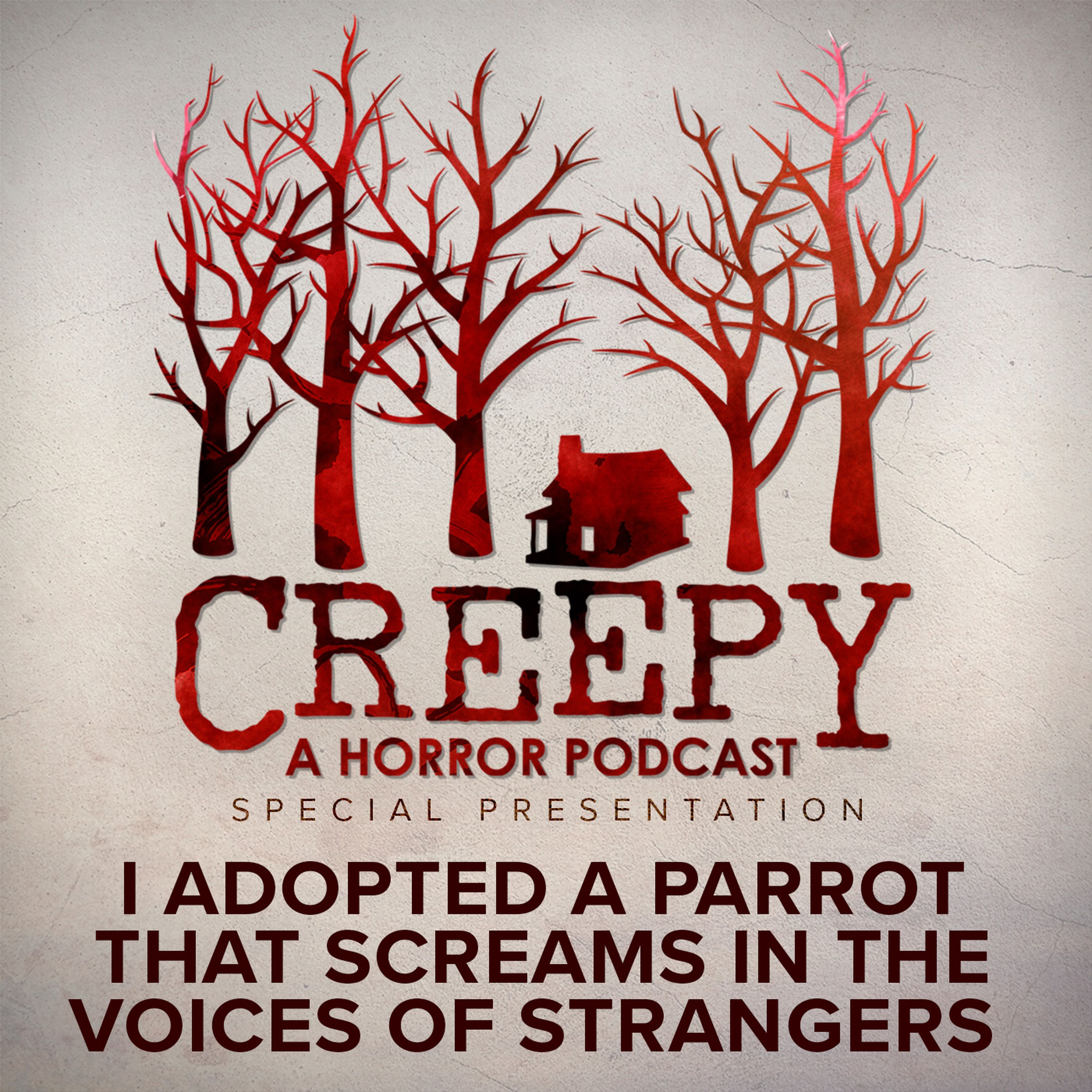 I Adopted a Parrot That Screams in the Voices of Strangers