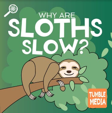 Introducing...Tumble Science Podcast: Why Are Sloths so Slow?