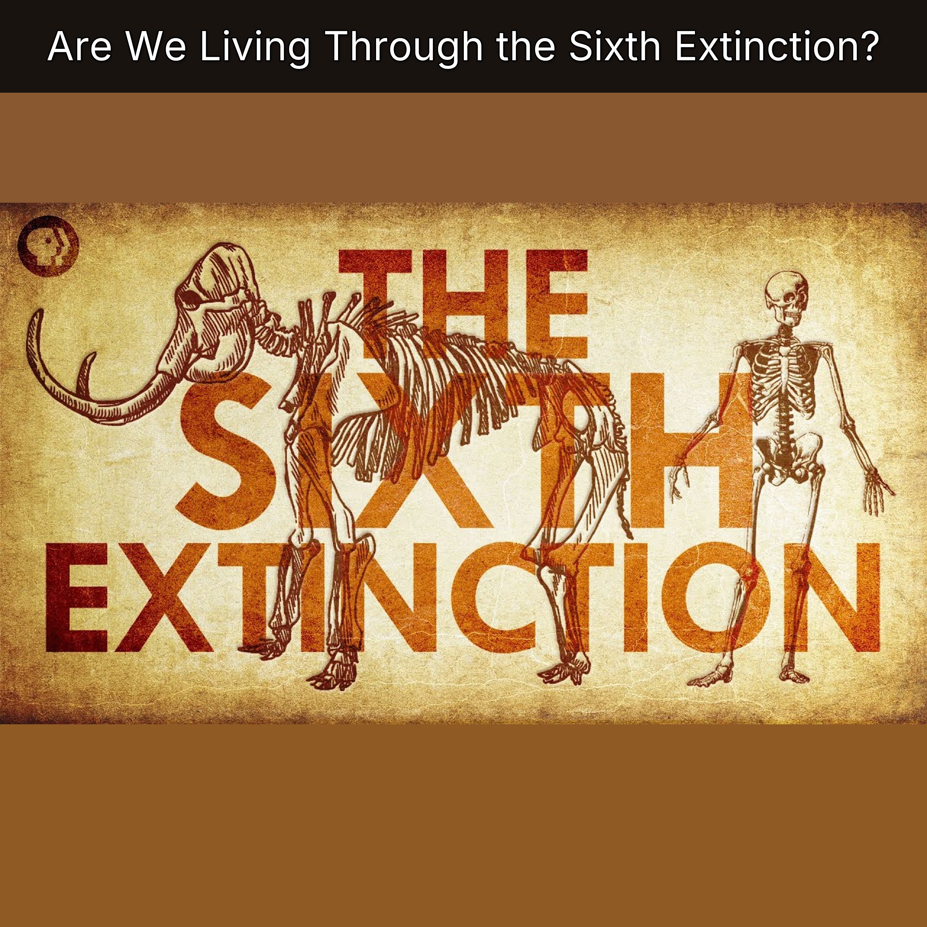 Are We Living Through the Sixth Extinction? episode artwork