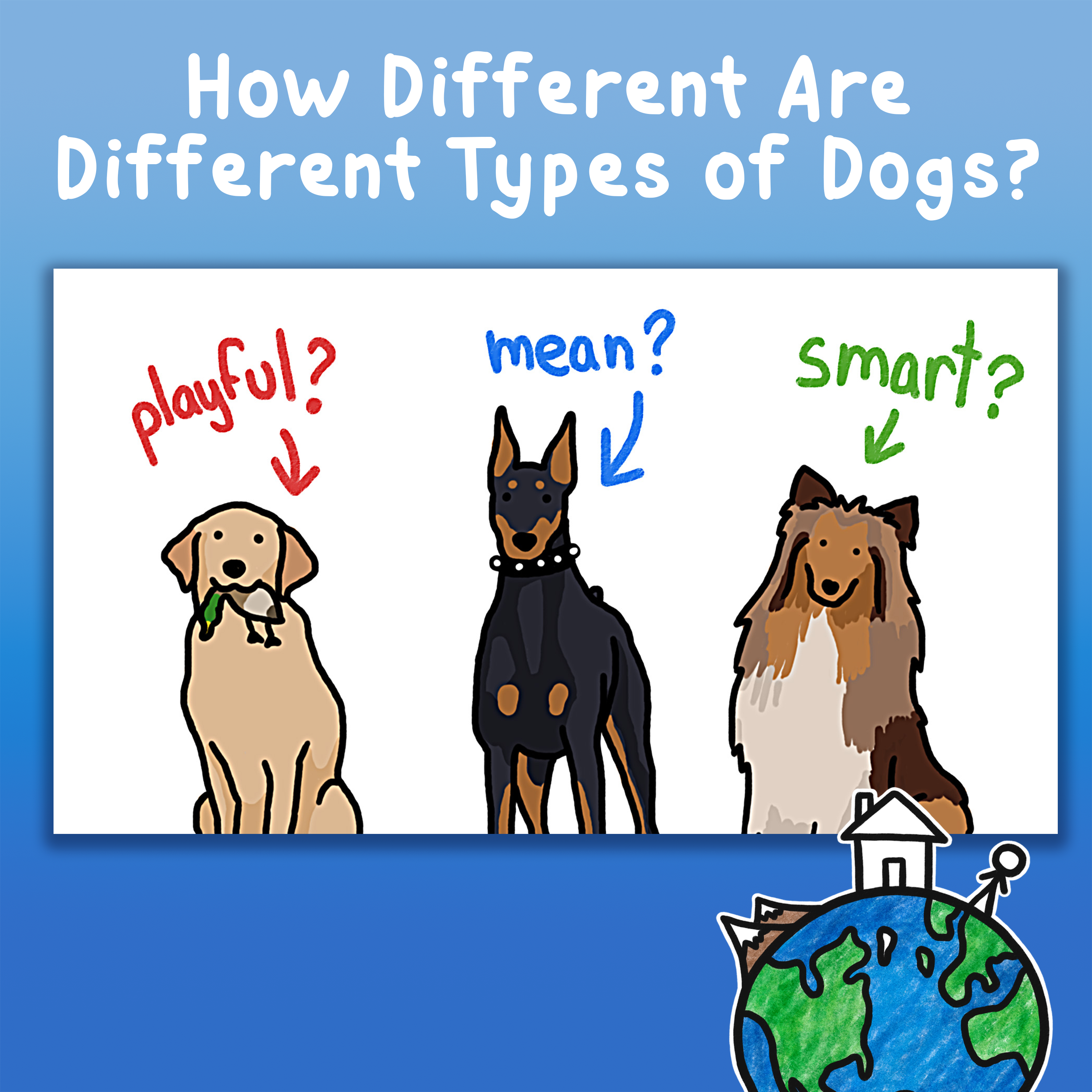 How Different Are Different Types of Dogs?