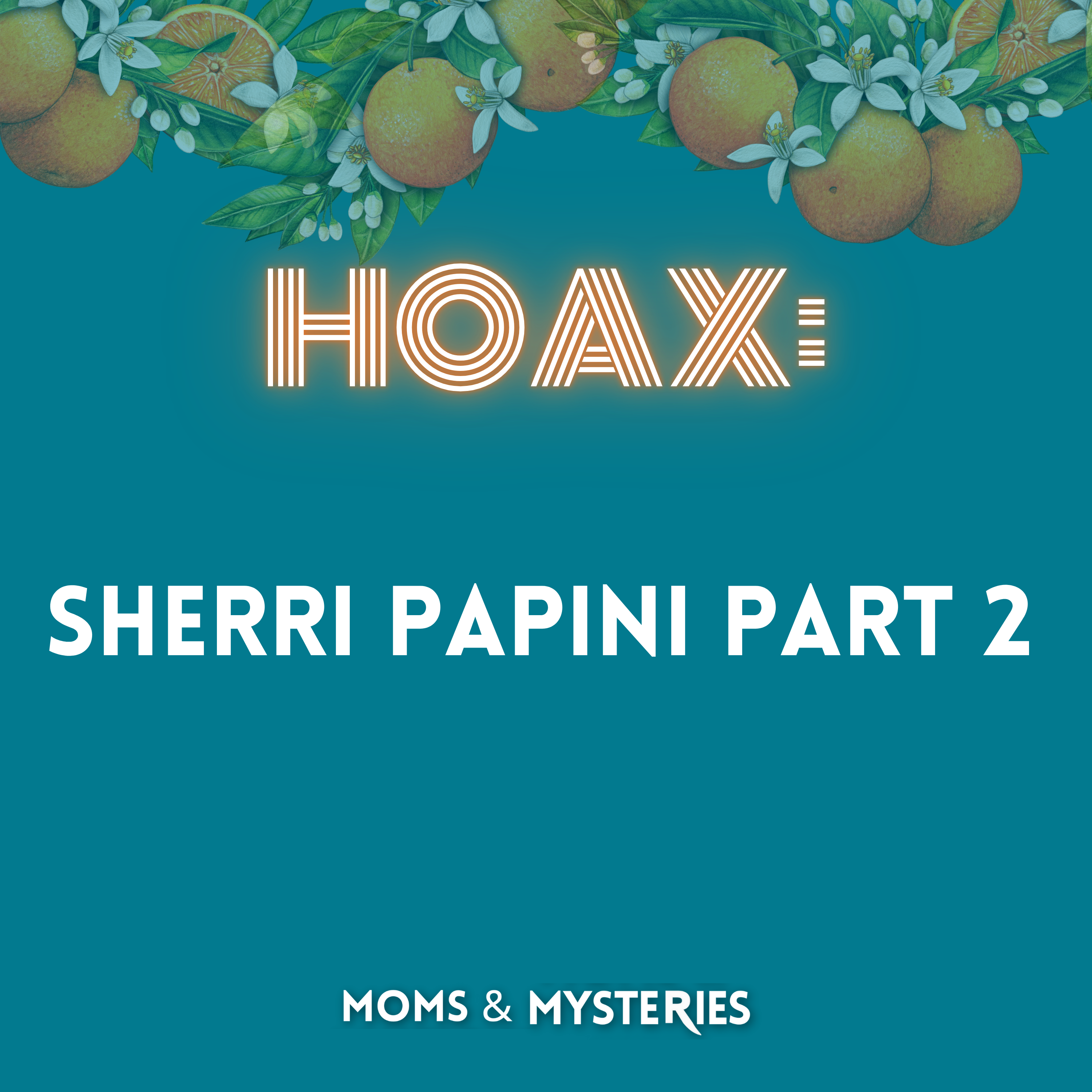 Sherri Papini Part 2: The Unraveling