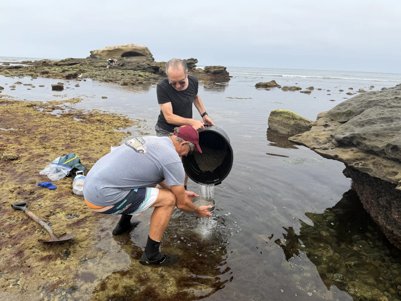 Scientists Are Building a 'Noah’s Ark' of California’s Tide Pools episode artwork