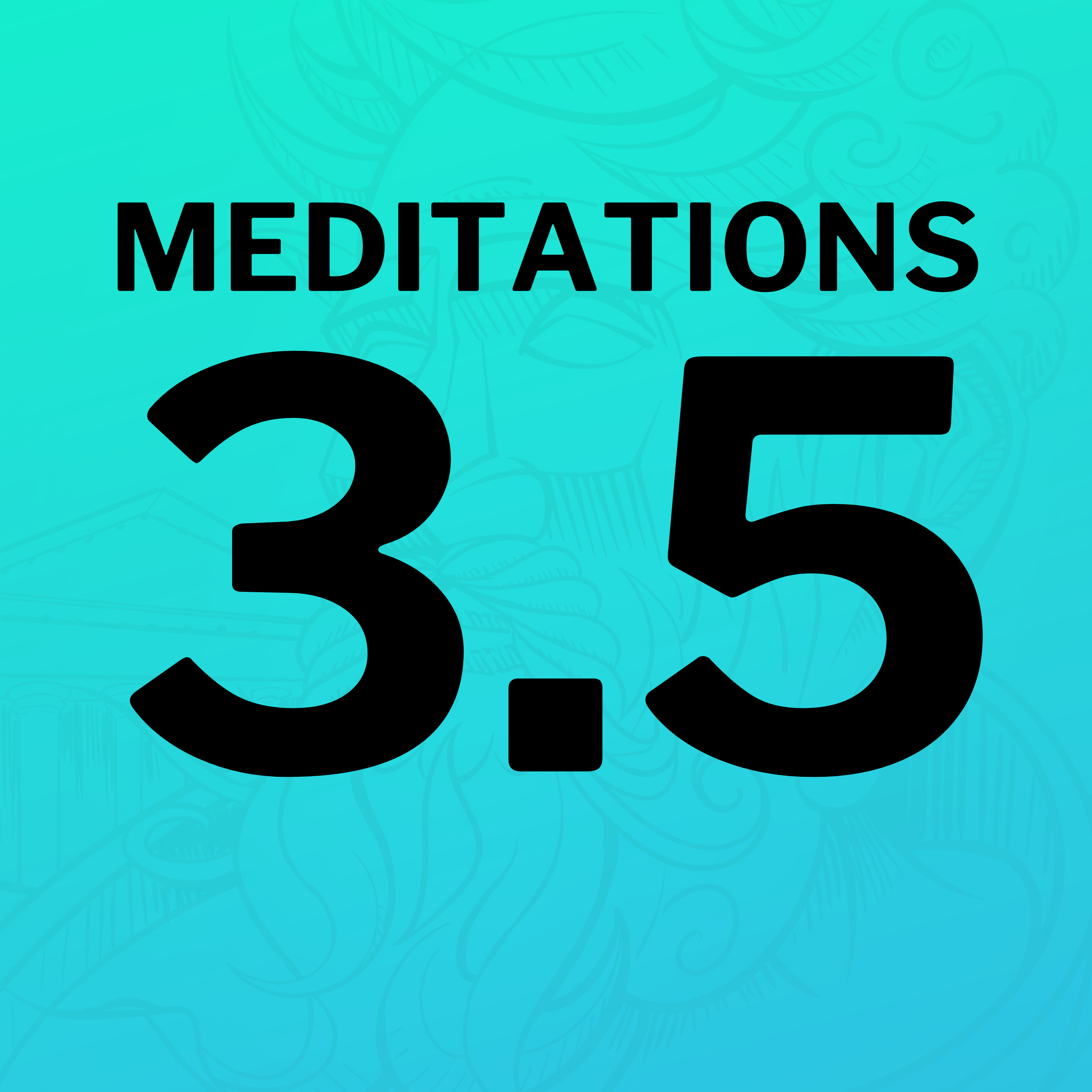 A Stoic’s Guide to Action (Meditations 3.5)