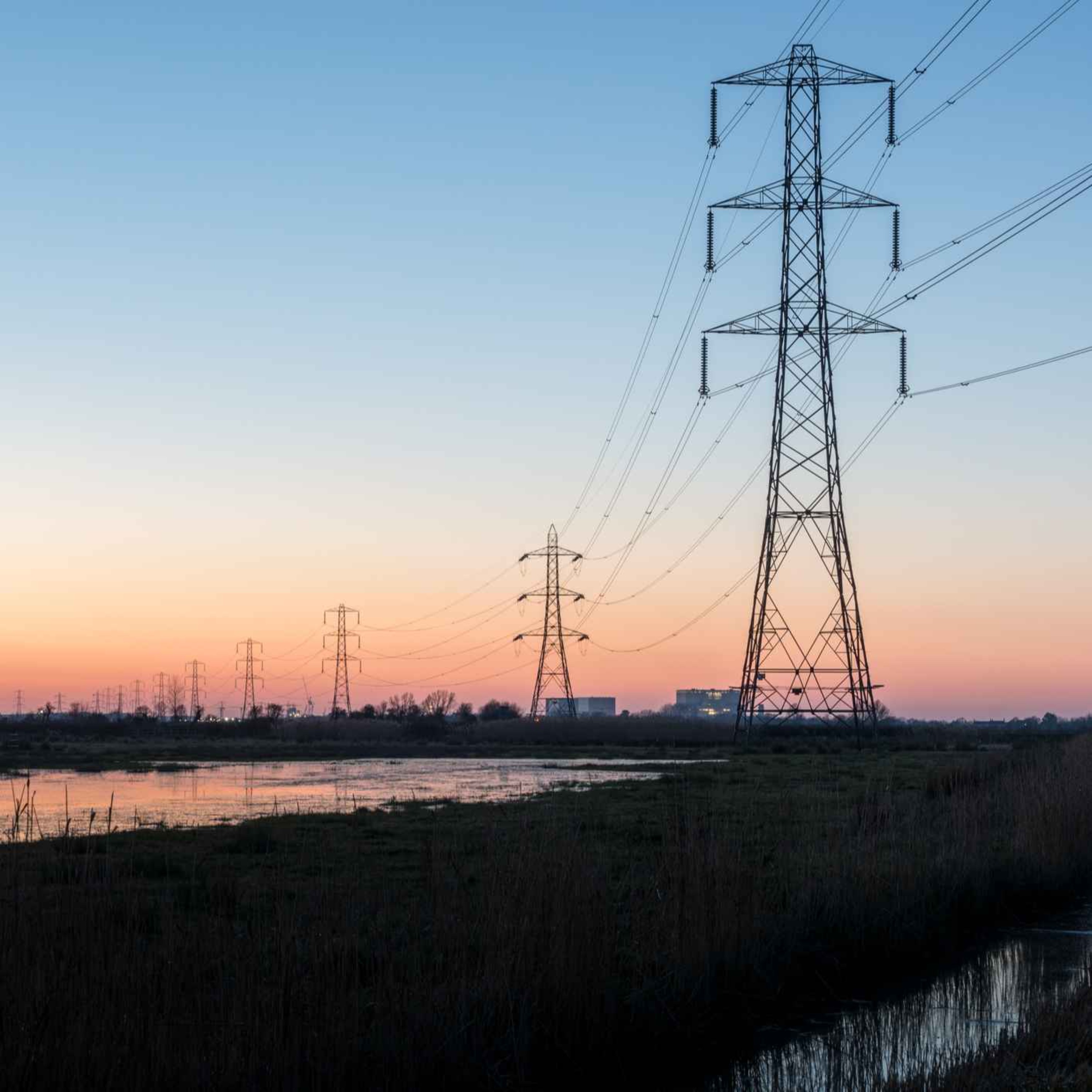 132. The wonderful song of the winter marshes with naturalist Ben Hoare