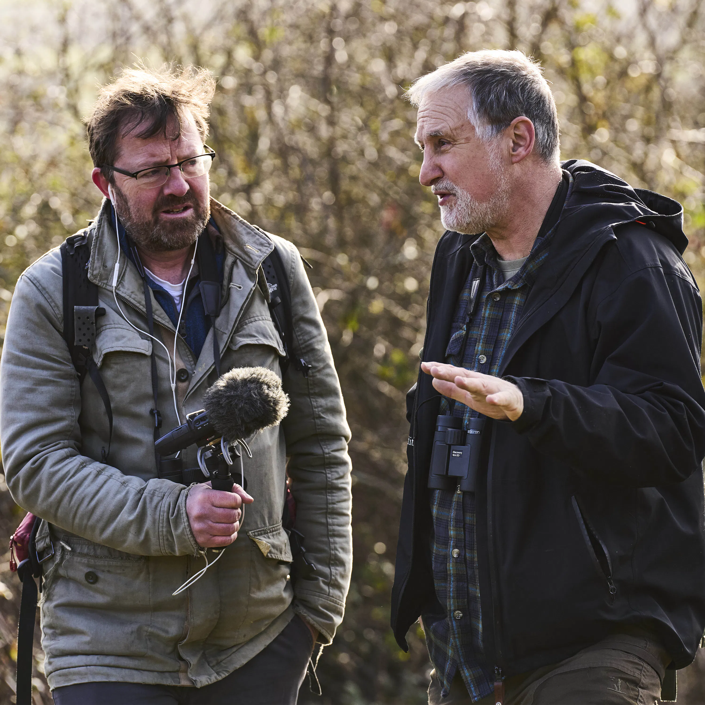 346. A quest to find Britain's only venomous snake, the adder episode artwork