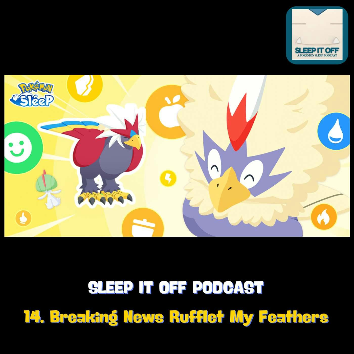 14. Breaking News Rufflet My Feathers 14. Breaking News Rufflet My Feathers