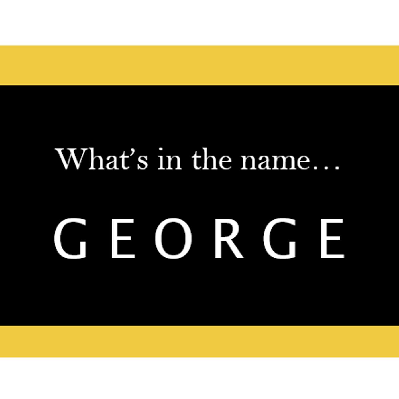 S5.09-113 - What's in a Name... "George" episode artwork
