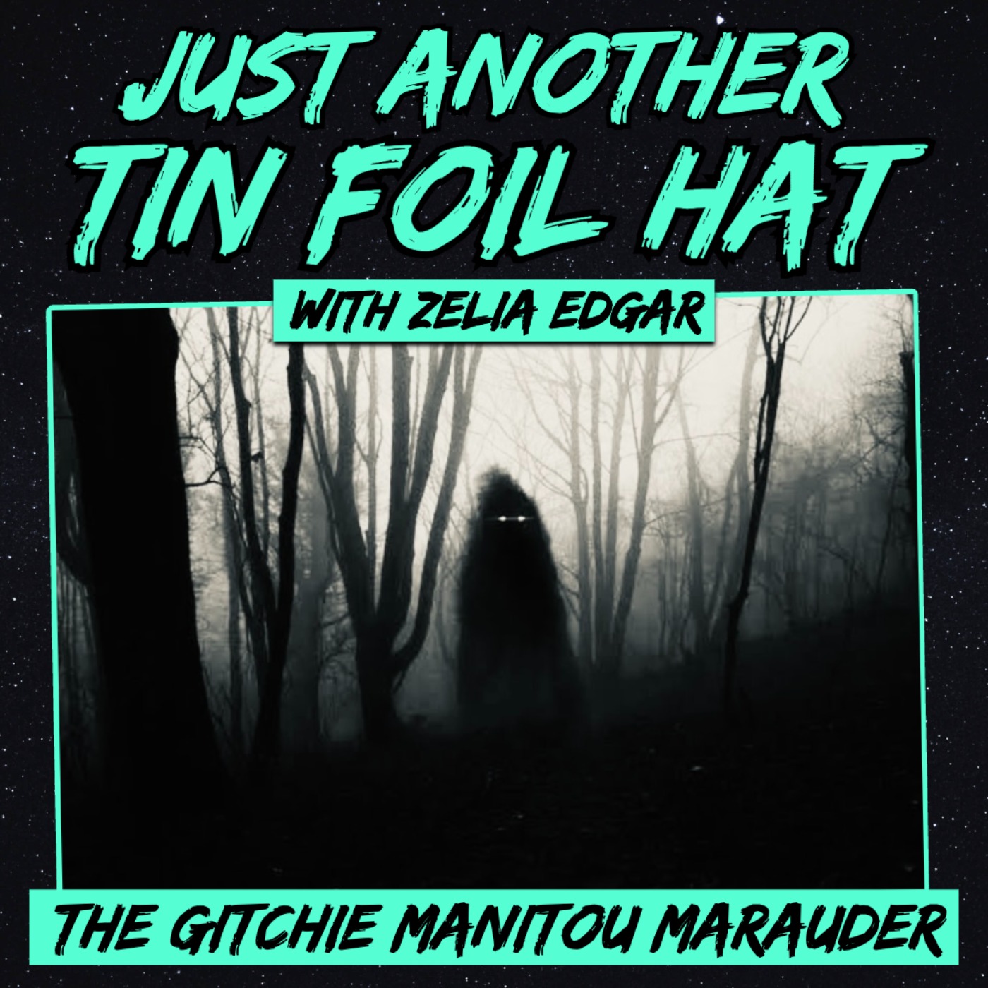 Just Another Tin Foil Hat | The Gitchie Manitou Marauder