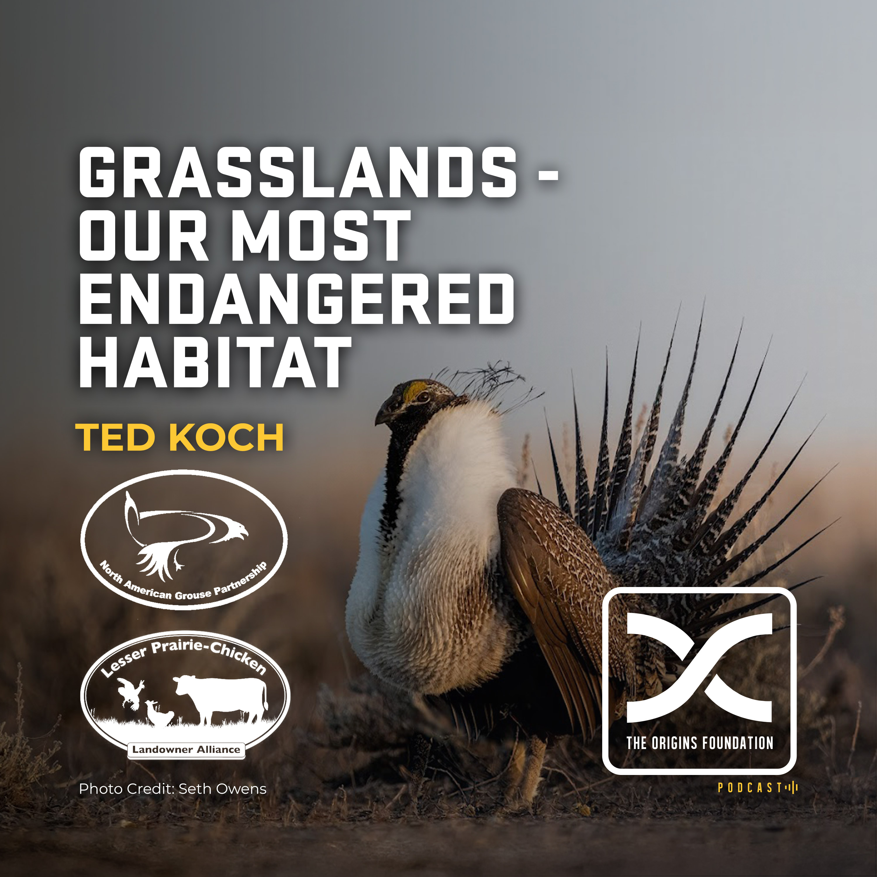 Episode 601 - Ted Koch || Grasslands - Our Most Endangered Habitat