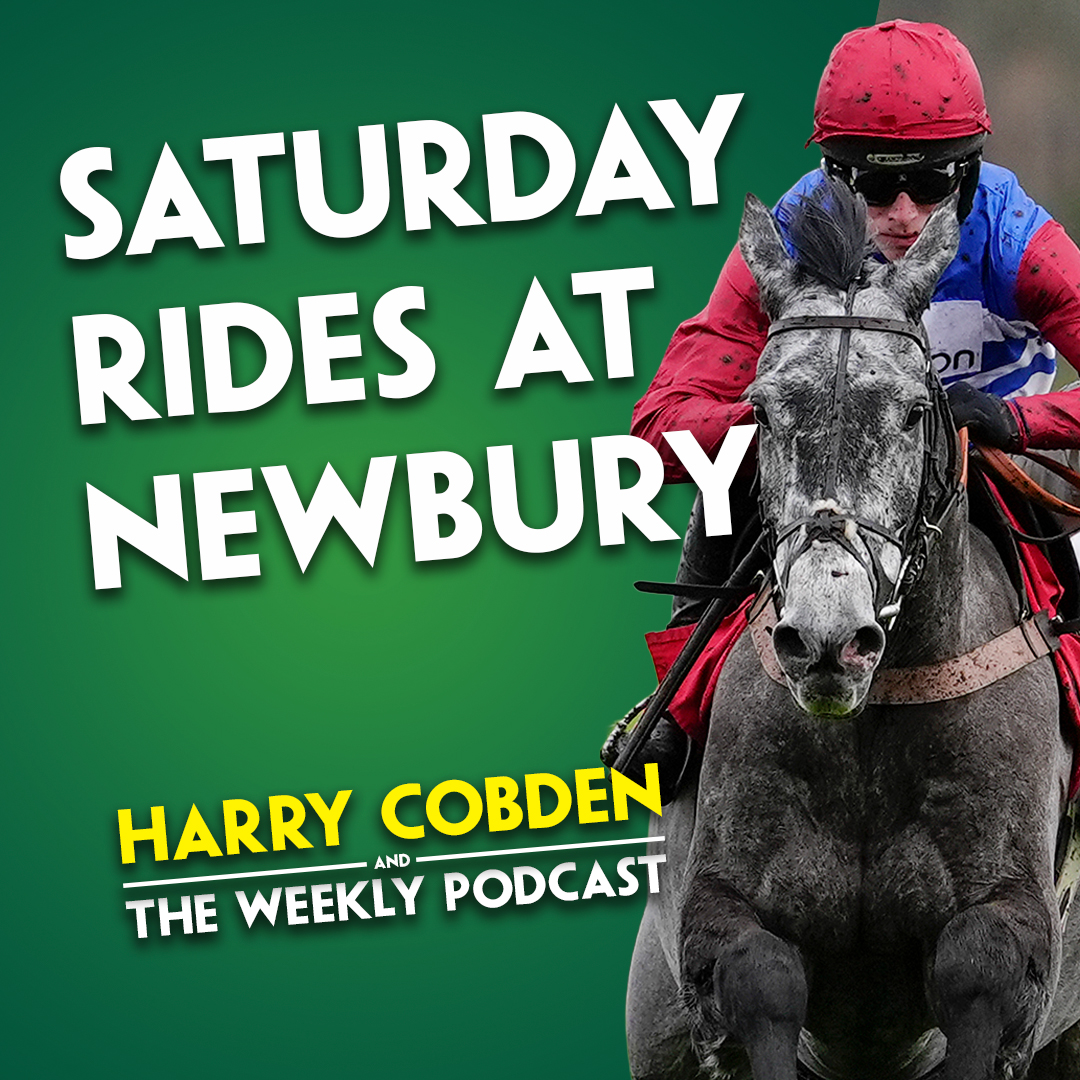 "SHE'D DEFINITELY HAVE A NICE CHANCE" | Harry Cobden | Riding for JP at Cheltenham? | Weekend rides
