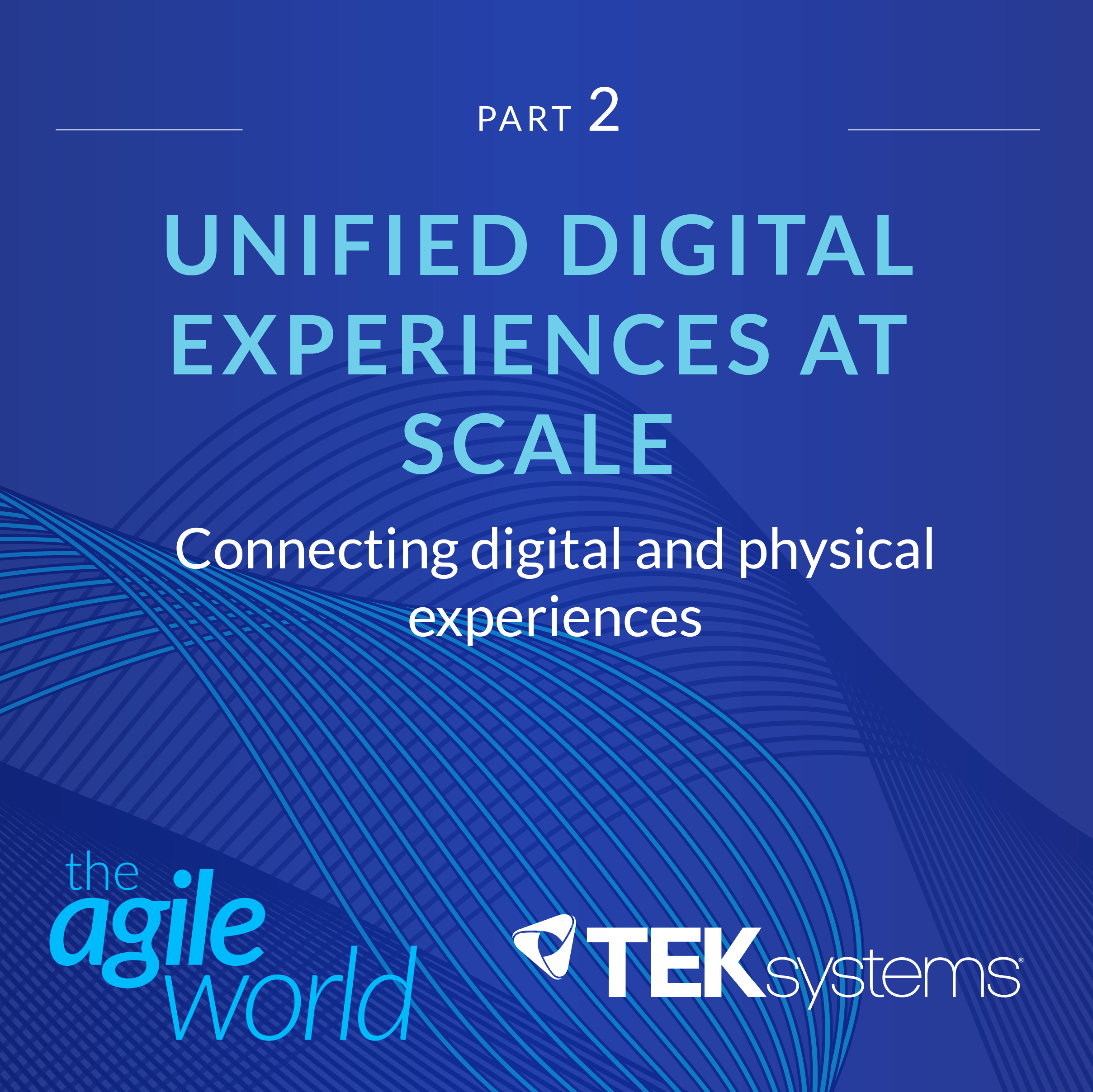 #129: Unified Digital Experiences at Scale, Part 2, with Kalev Peekna, One North