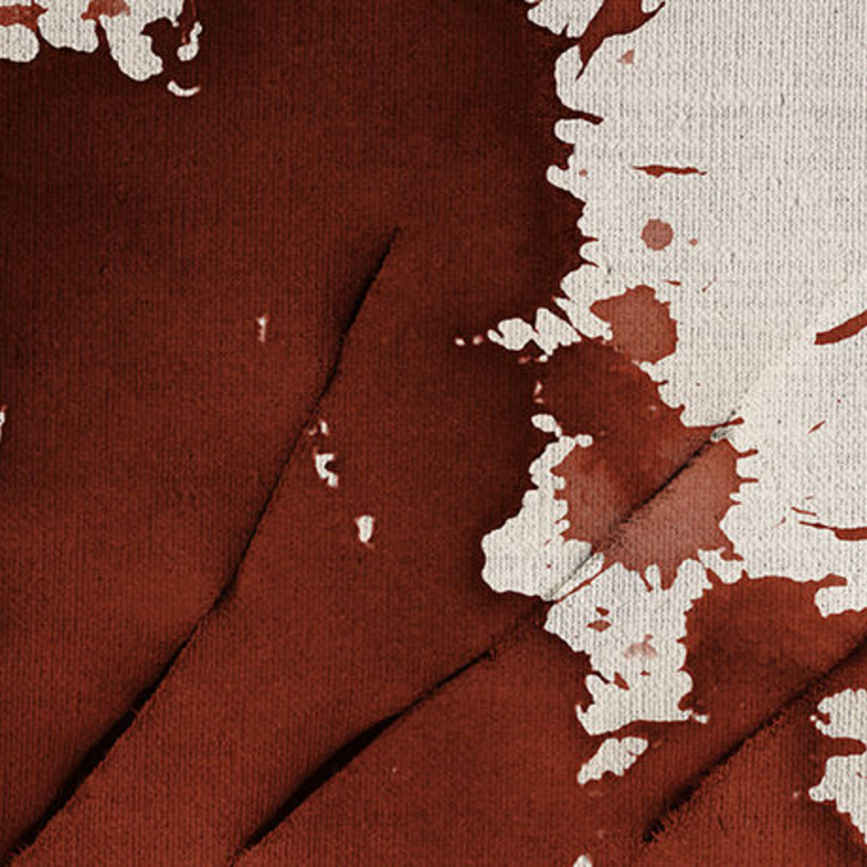 Podcast: Nuclear forensics, honesty in a sea of lies, and how sliced meat drove human evolution