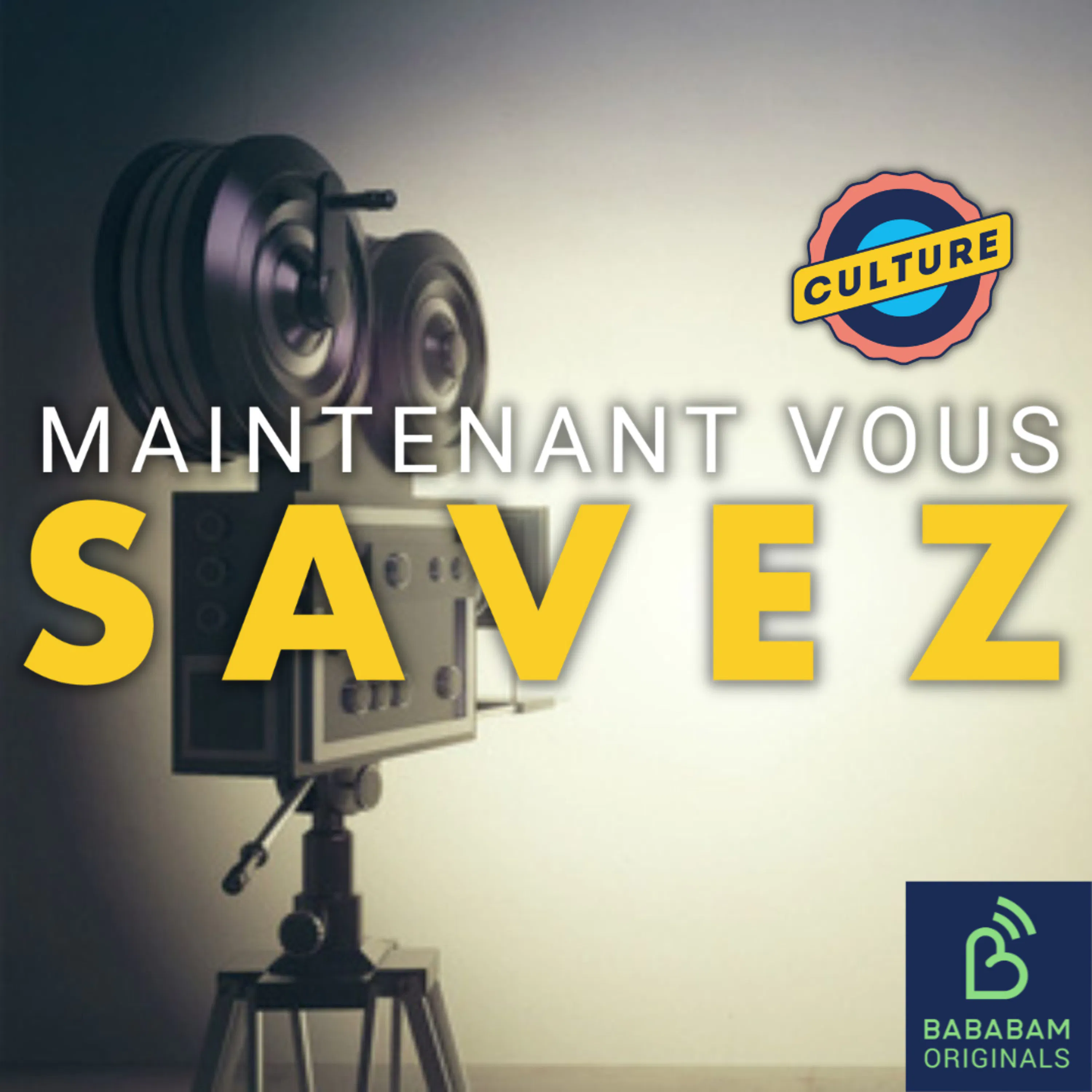 Quels sont ces films maudits du cinéma ?