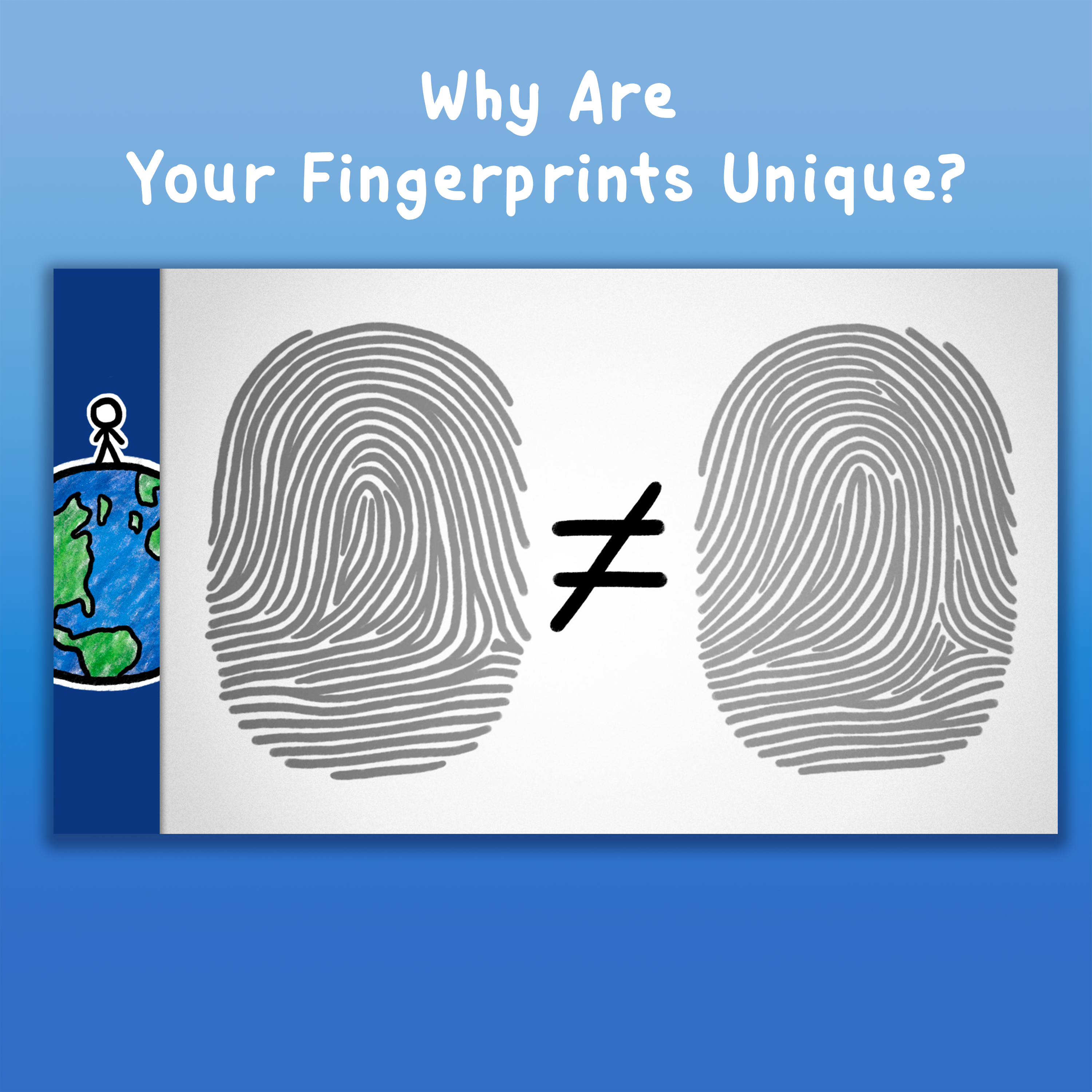 Why Are Your Fingerprints Unique?