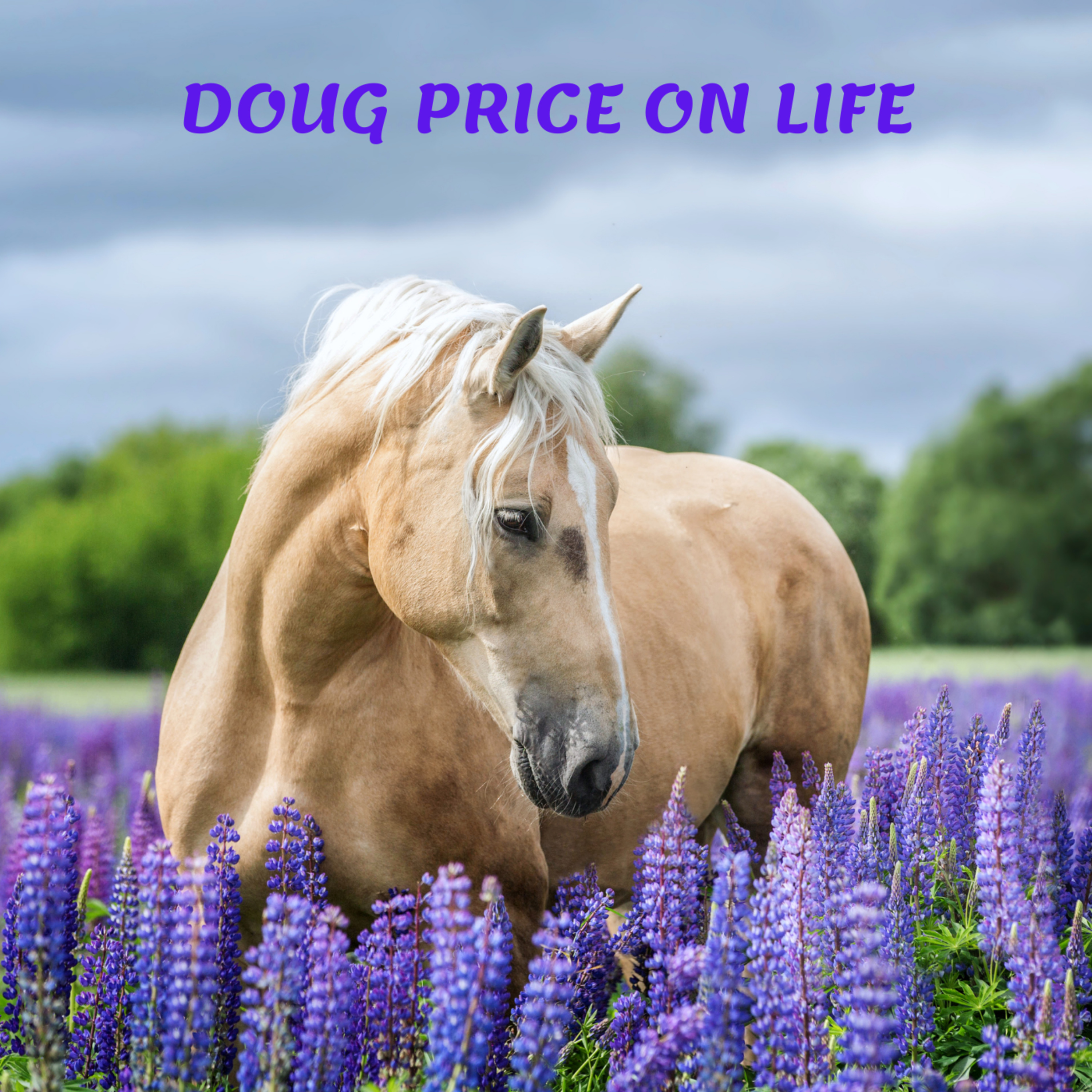 Doug Price On Life