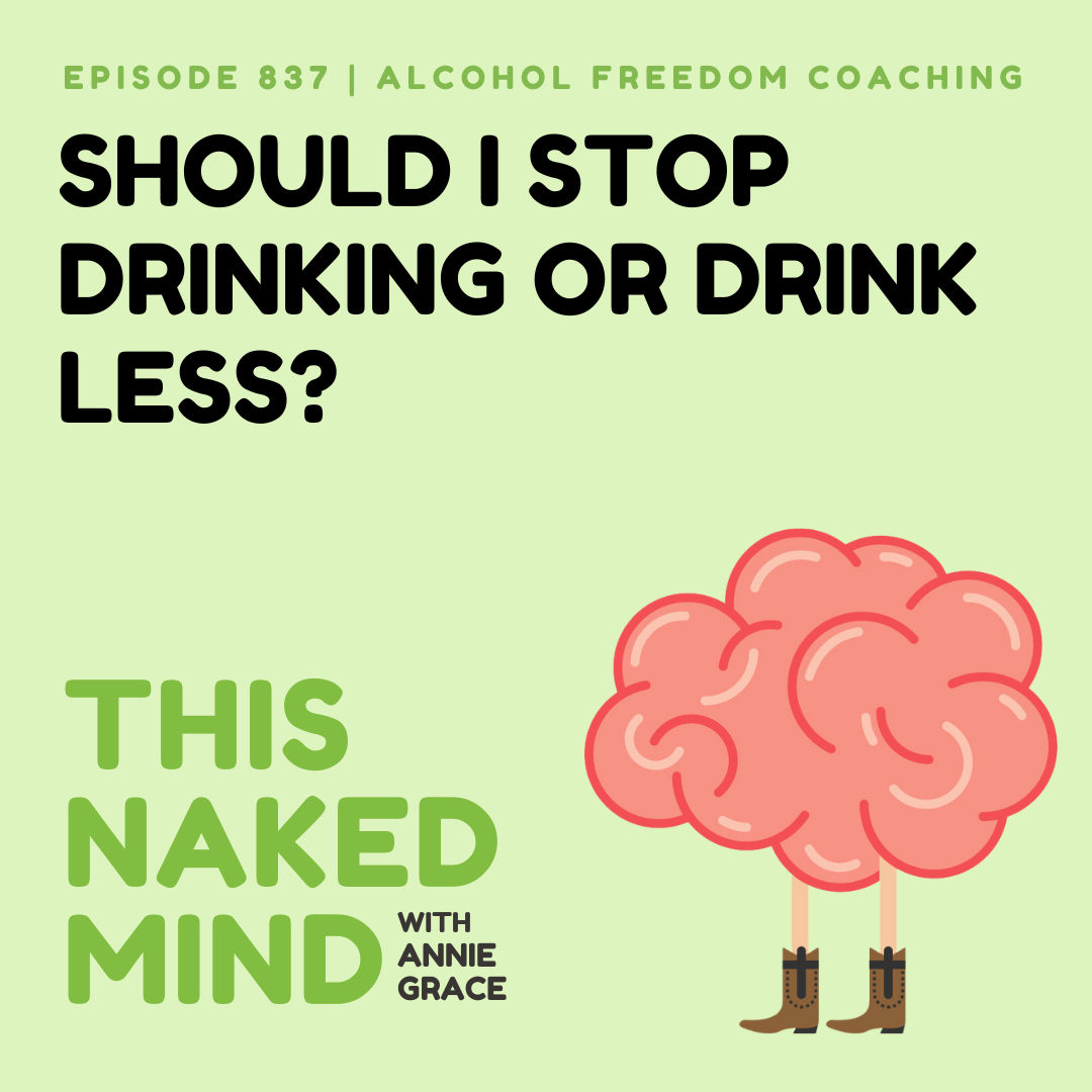 Should I Stop Drinking or Drink Less? | Alcohol Freedom Coaching | E837