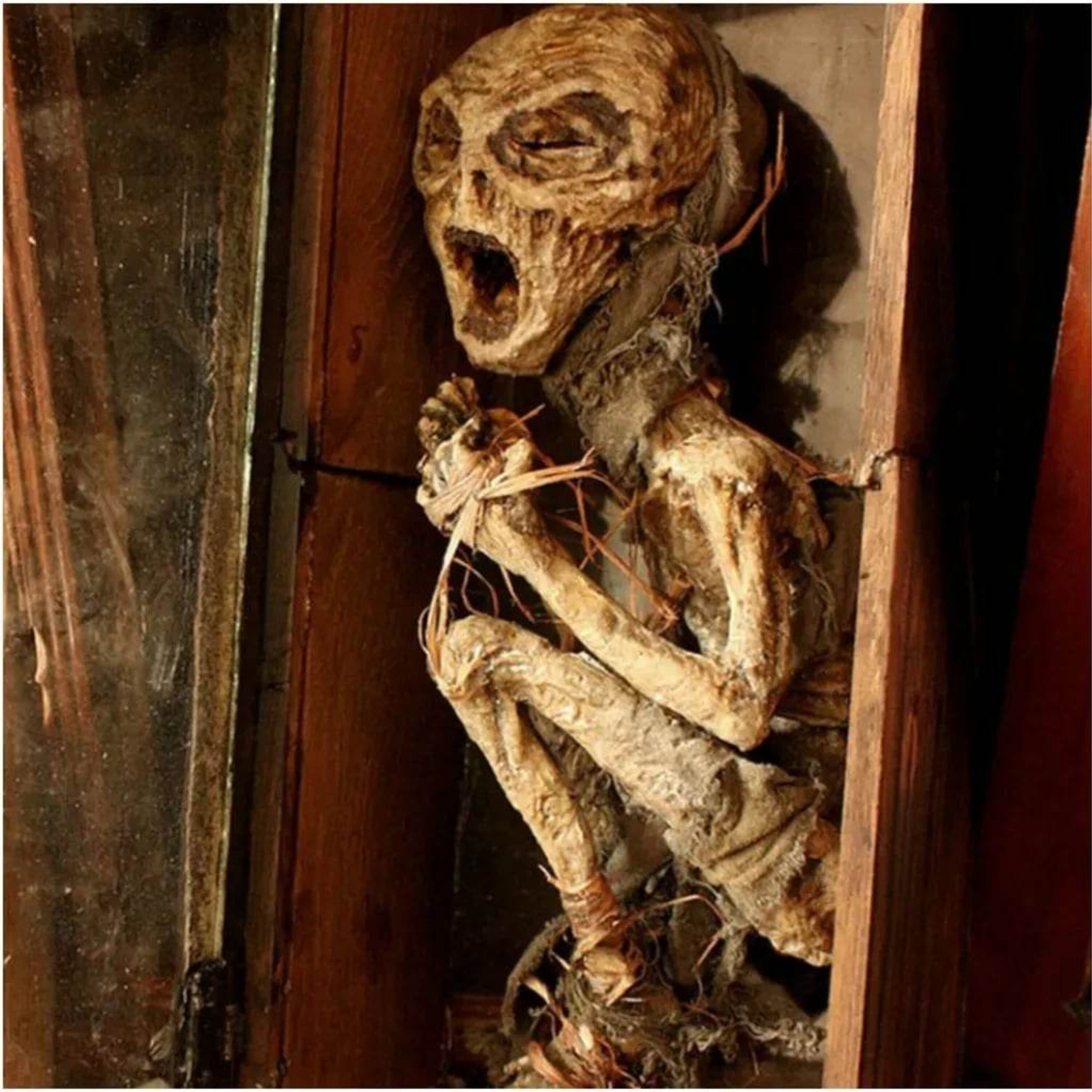 Skinwalker Ranch & Secrets in our Skies