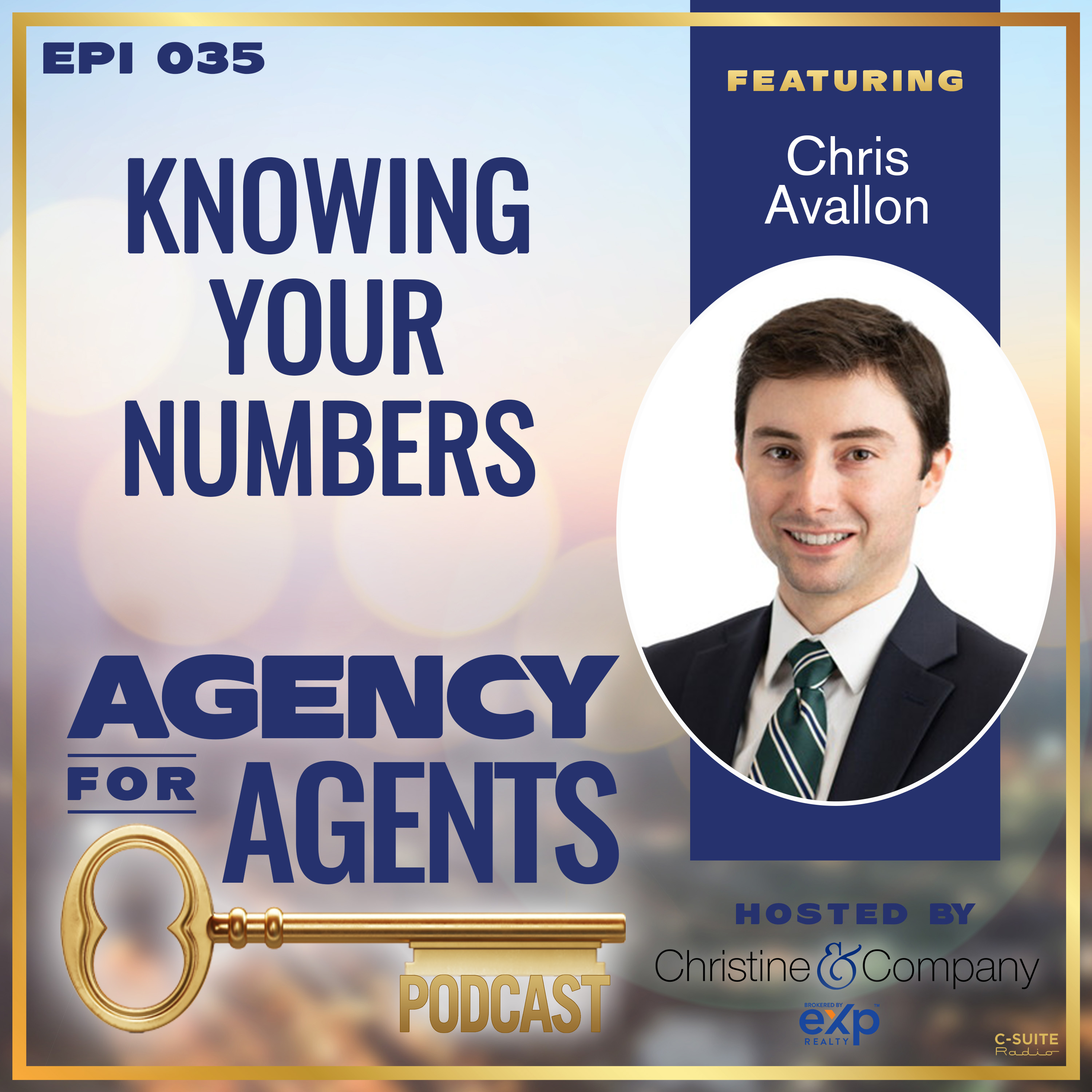 Agency For Agents