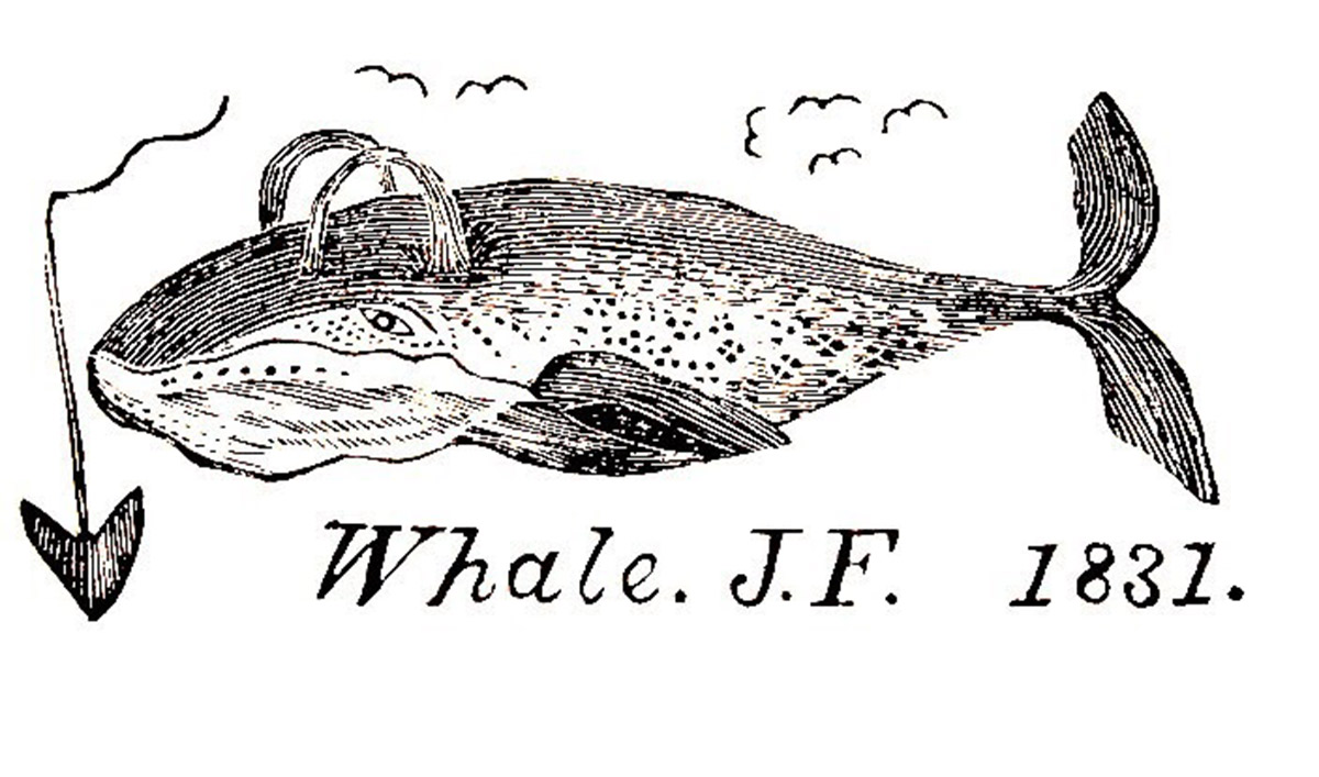 Thar She Blows: The History of Whales and America episode artwork