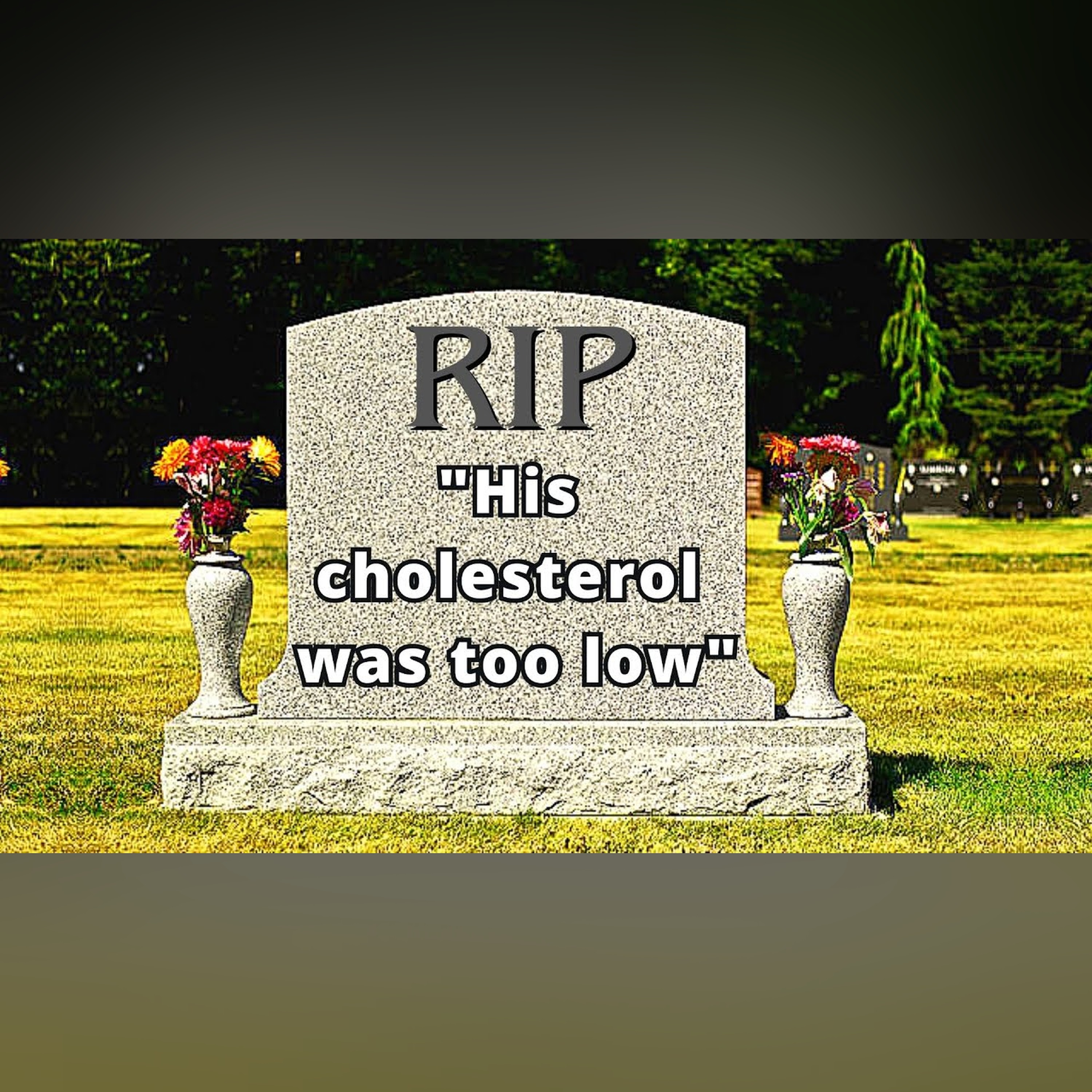 Cholesterol and Risk of Death | New Evidence Emerges