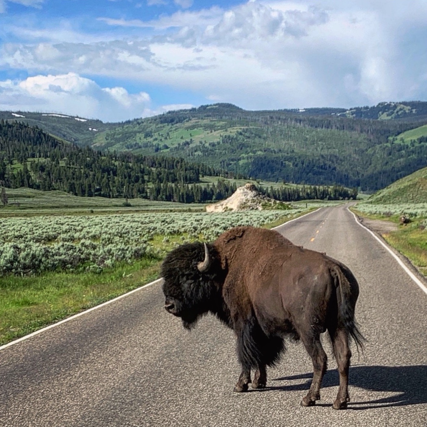 #20: Scenic Drives Through Public Lands