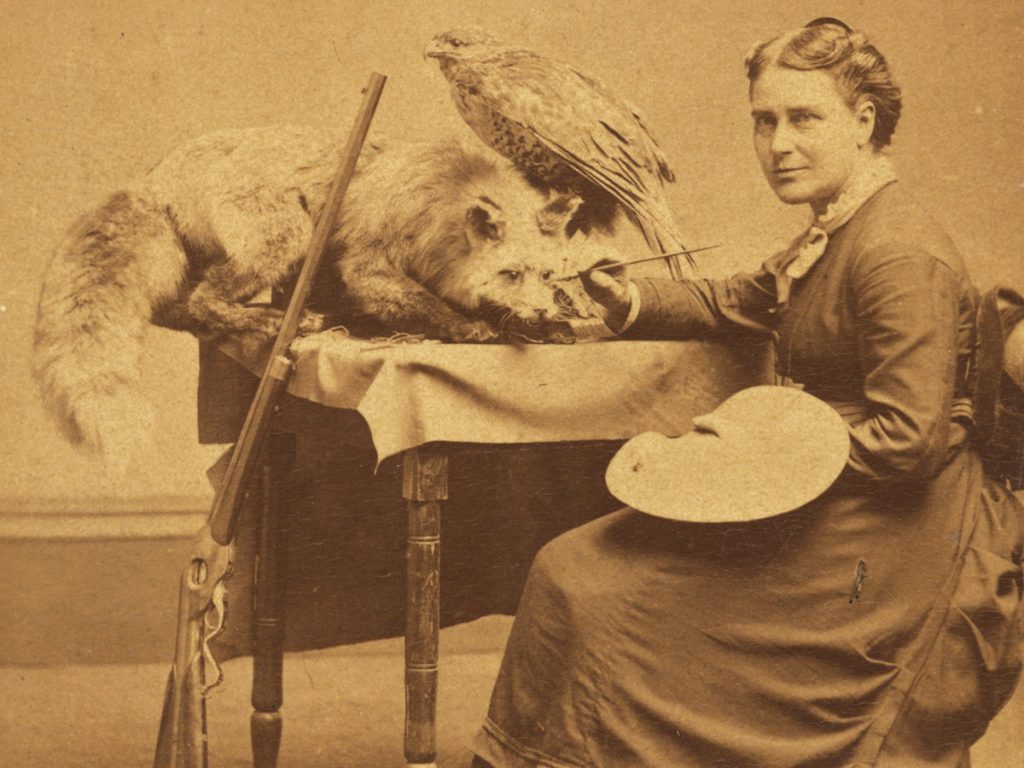 Stuffed: Taxidermy in the History of America