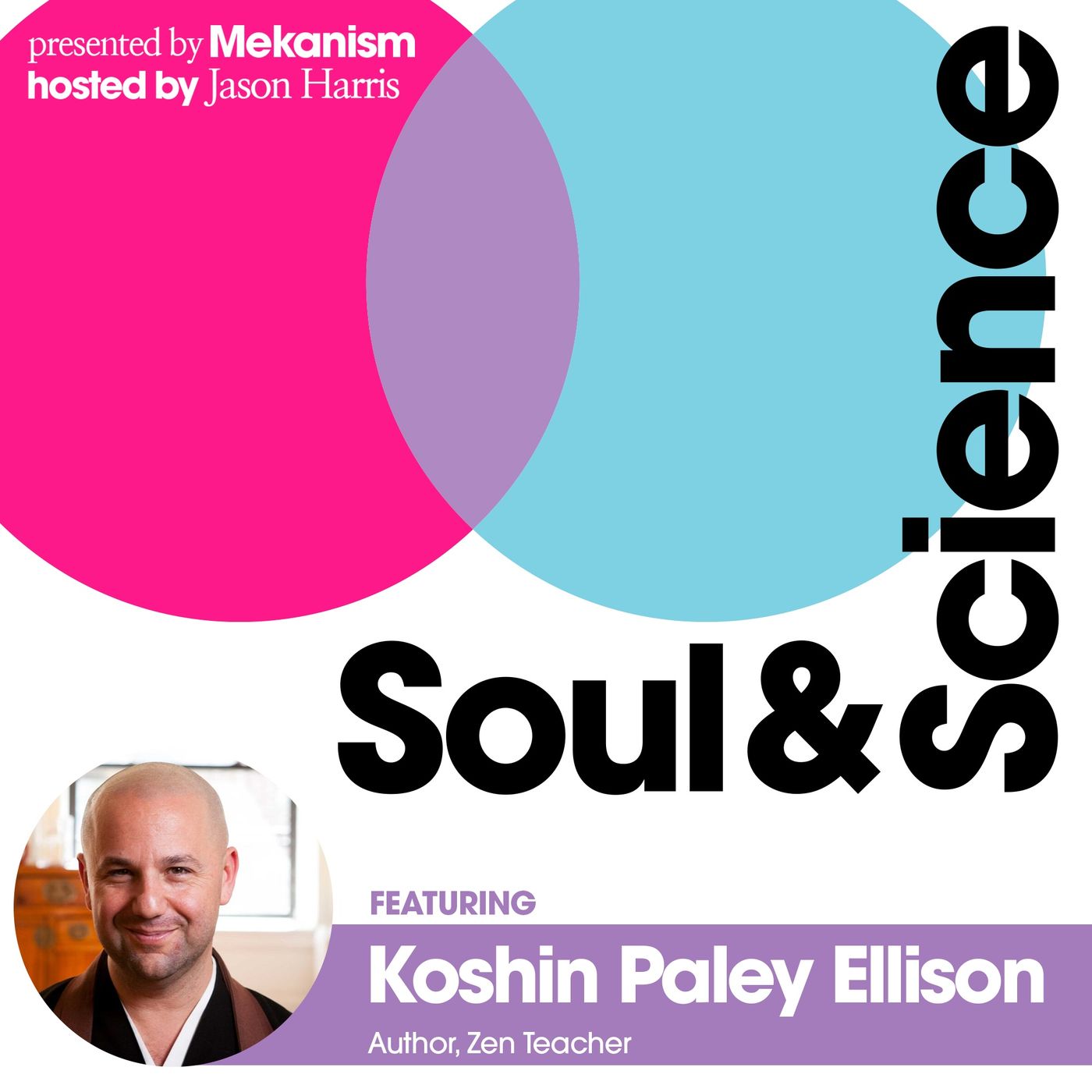#30: Buddhist Monk and Zen Teacher Koshin Paley Ellison | Becoming Untangled episode artwork