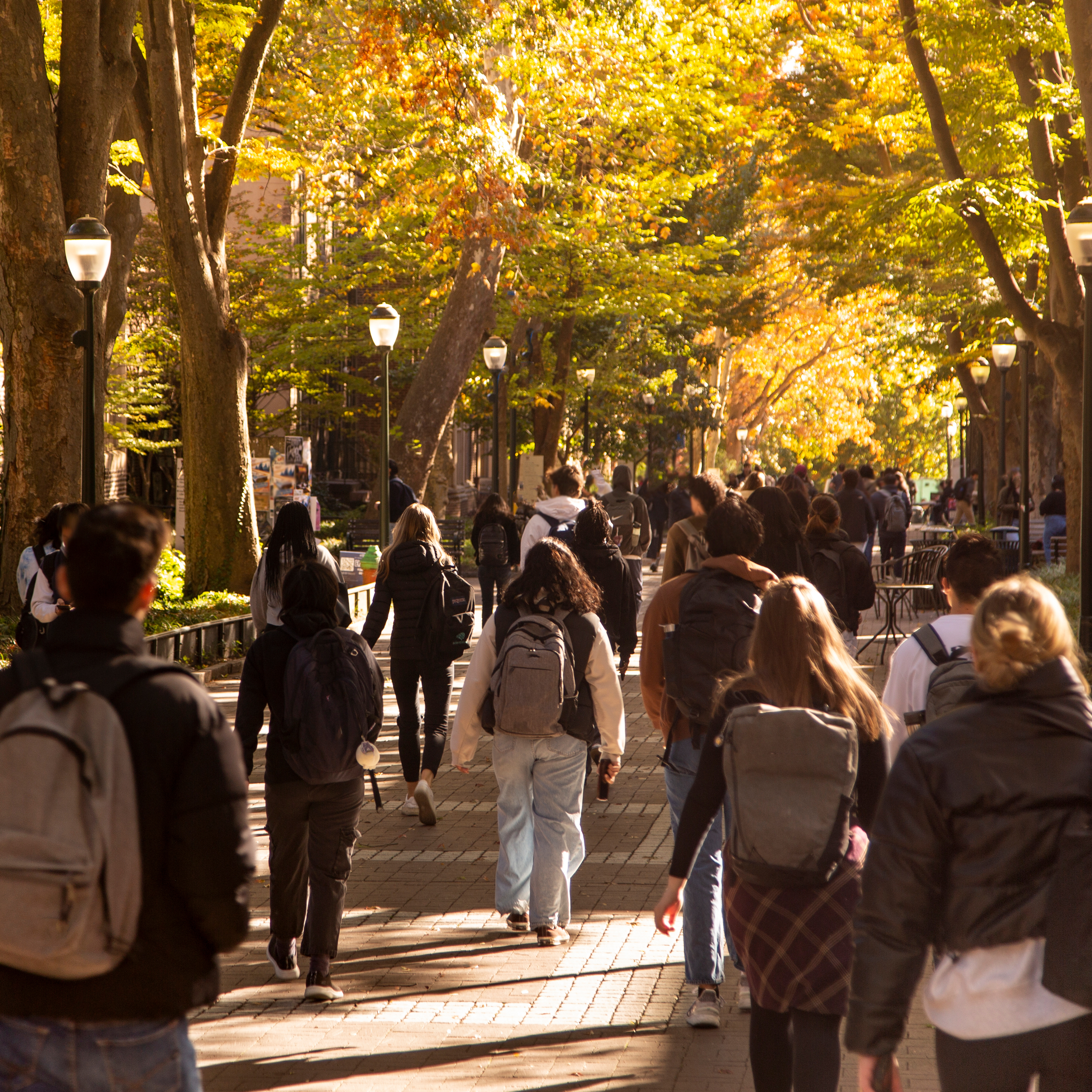 Where Do America’s Colleges Go From Here?