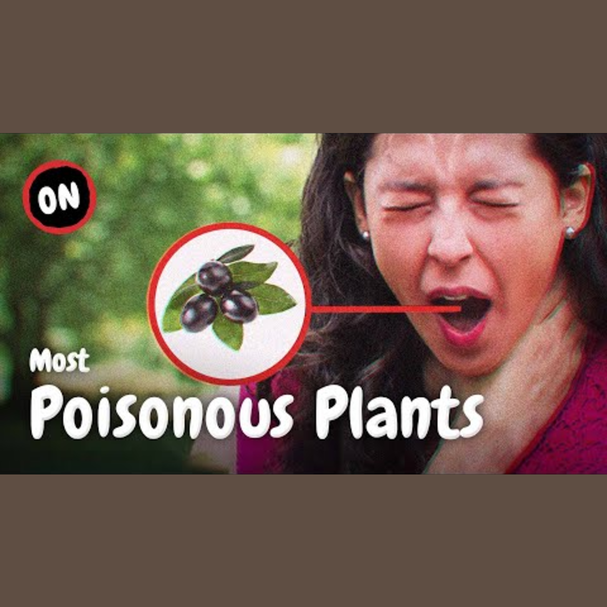 Top 7 Poisonous Plants That Could Be Deadly episode artwork