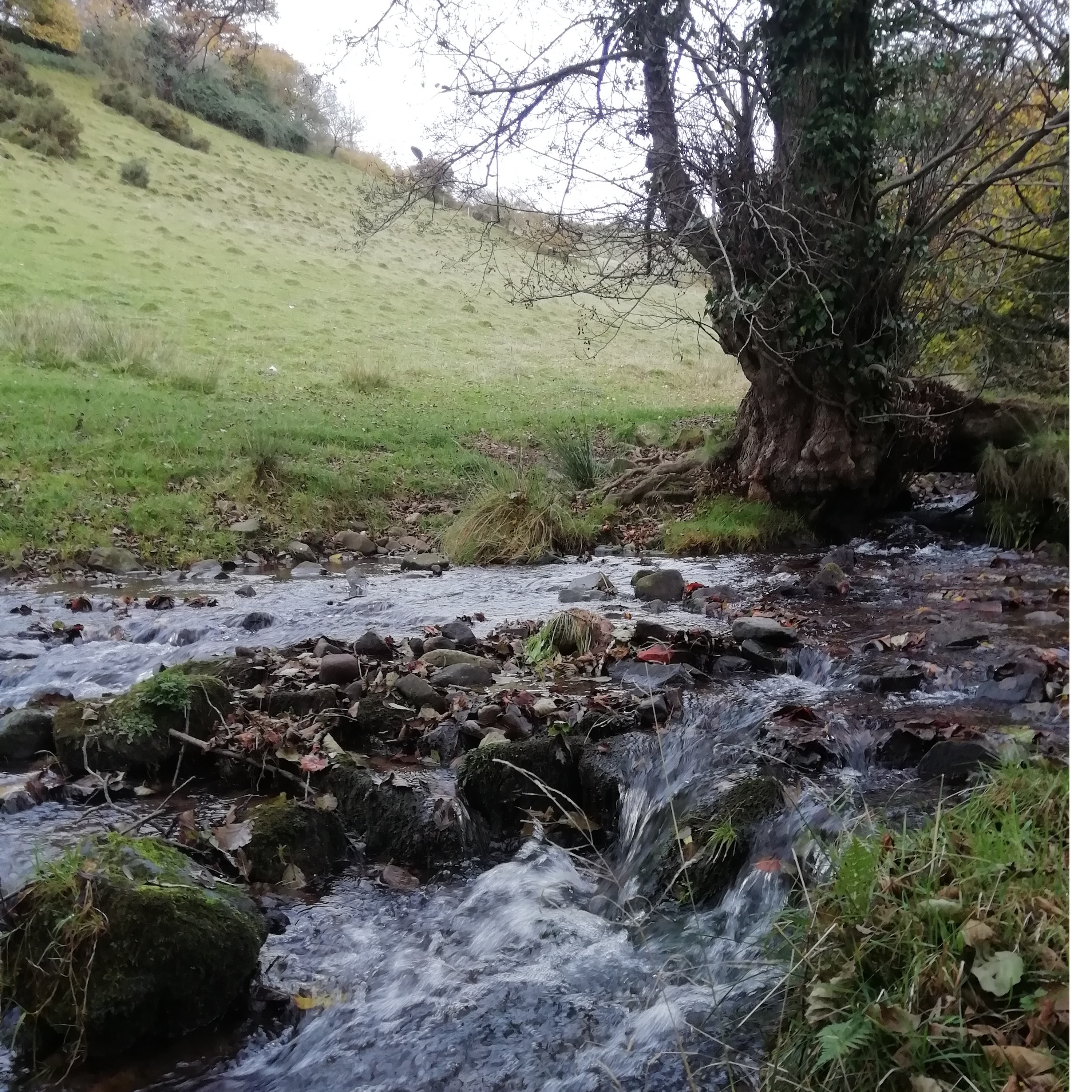 Sound Escape 41: the magical music of a mountain stream