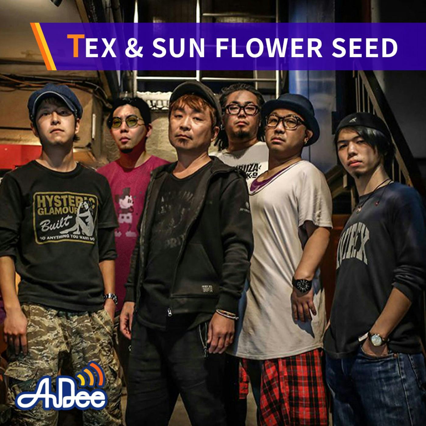 TEX & SUN FLOWER SEED「太陽のリズム」 2023/5/31放送